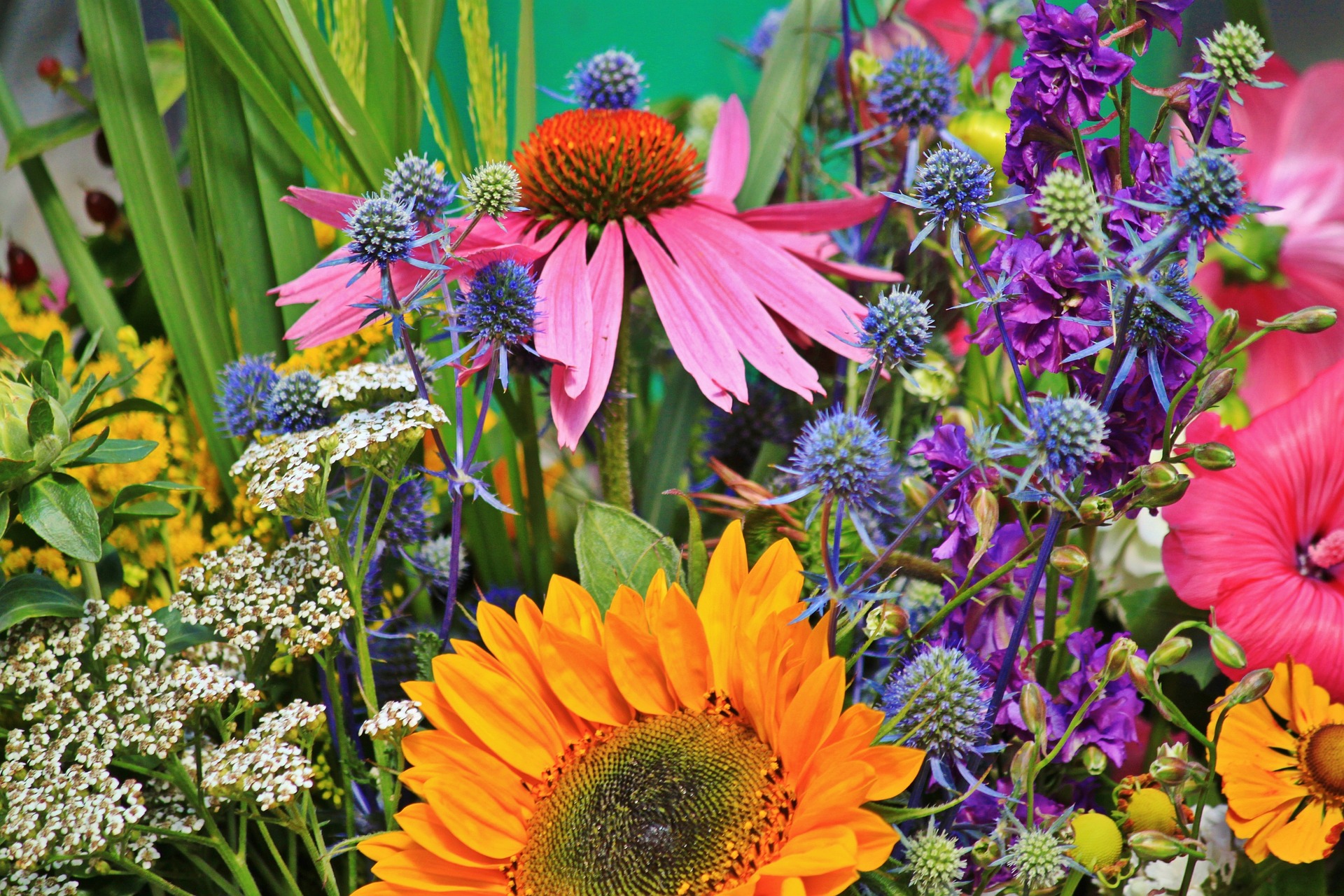 flower-g59a4dbf2f_1920.jpg