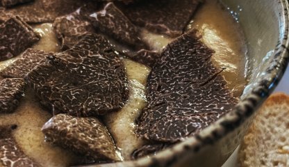 Appetizers truffle-based