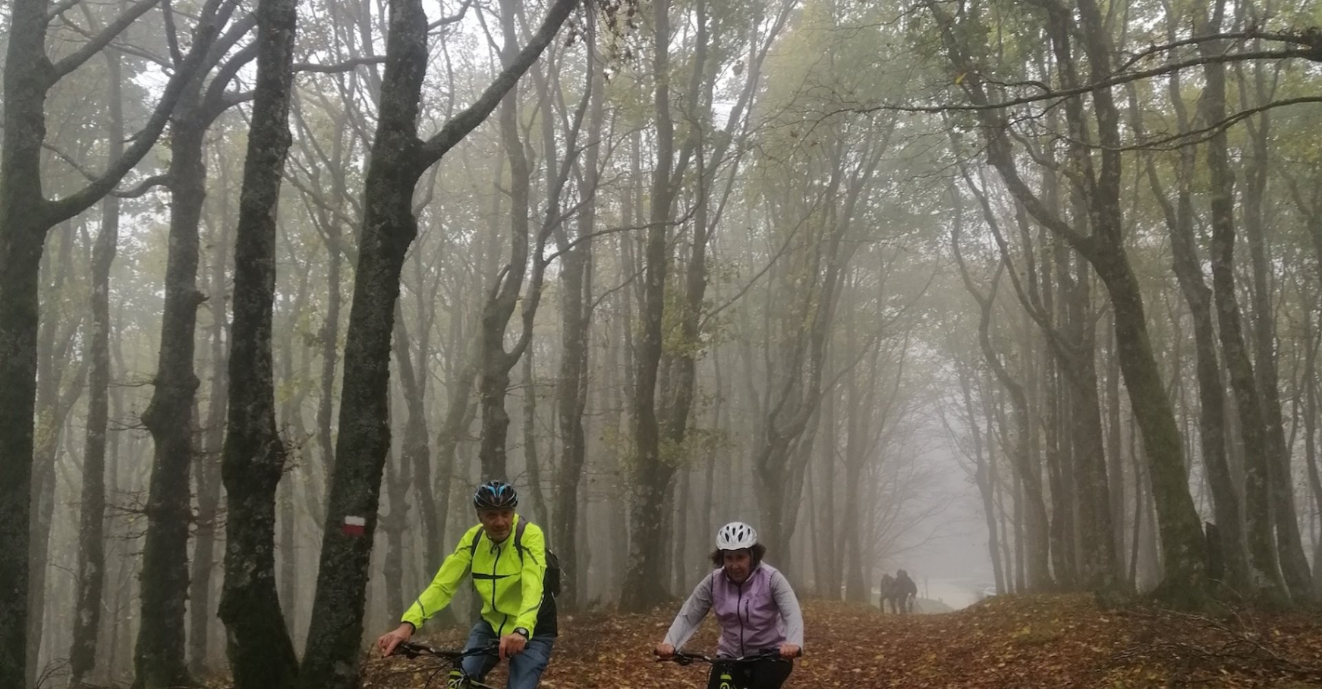 Nationalpark La Lama, Wallfahrtsort La Verna