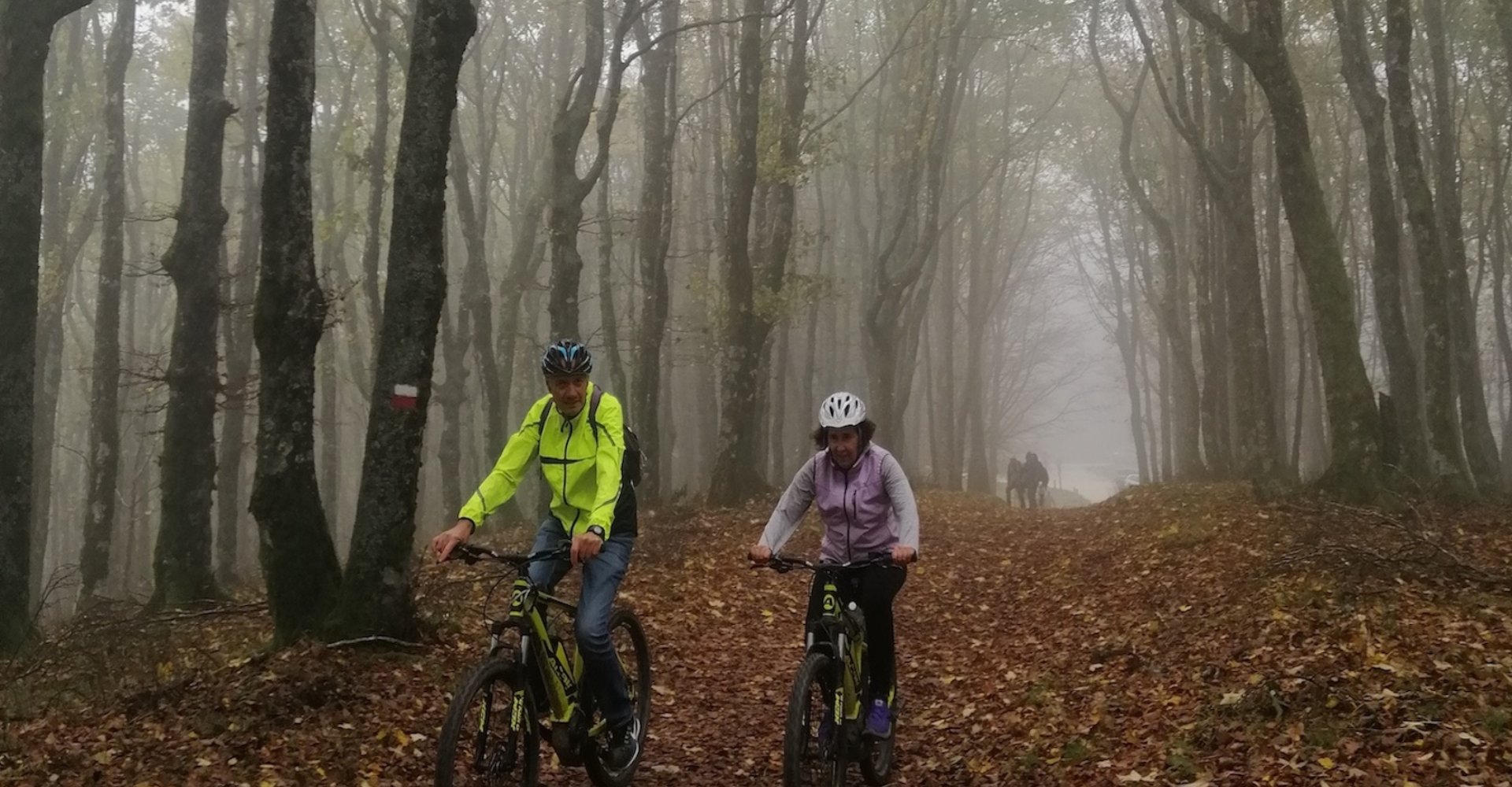 Bosque de La Lama - Santuario de La Verna