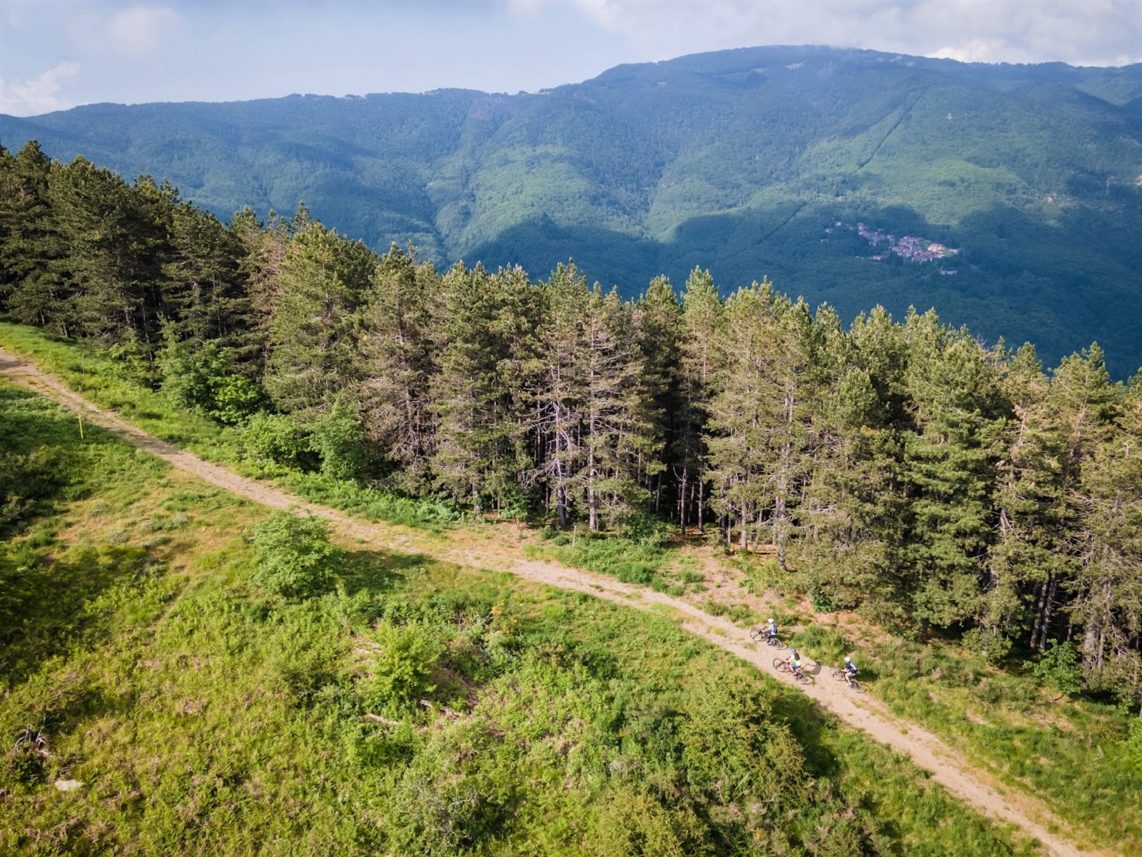 Foresta del Brattello