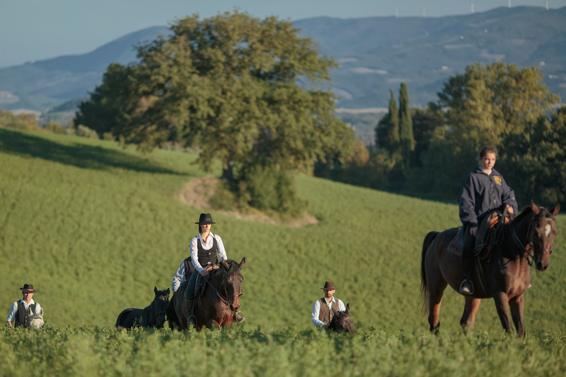 Cavalcare nel Parco di San Rossore