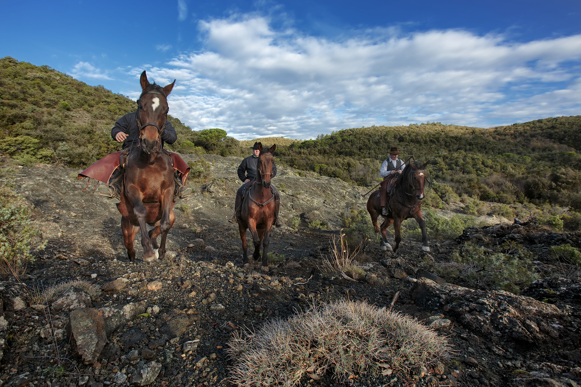 À cheval dans le Parc de San Rossore