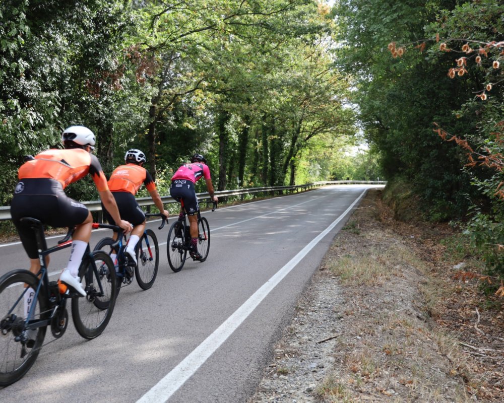 Cyclistes sur route de Castelfalfi à San Vivaldo