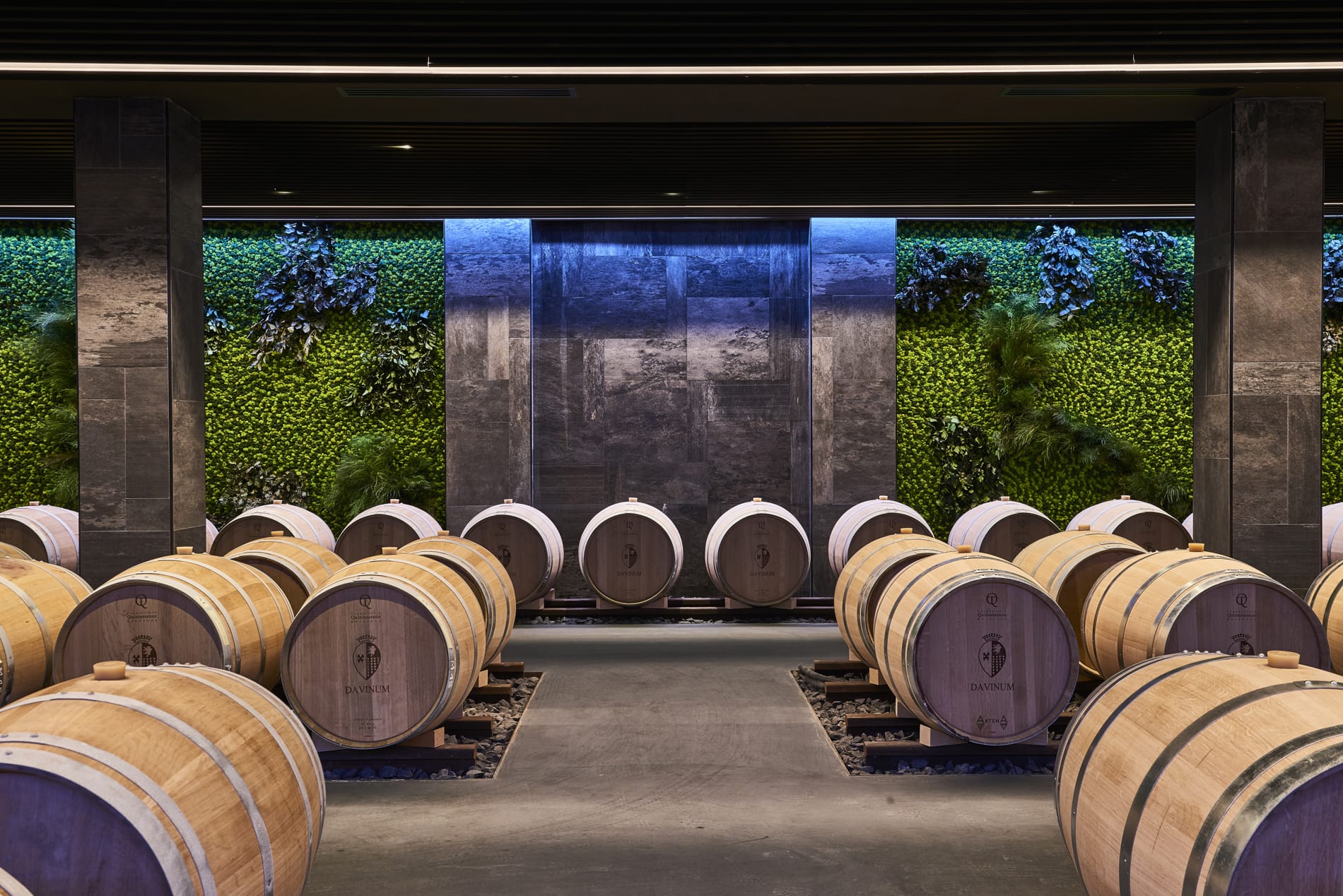 Davinum aging cellar