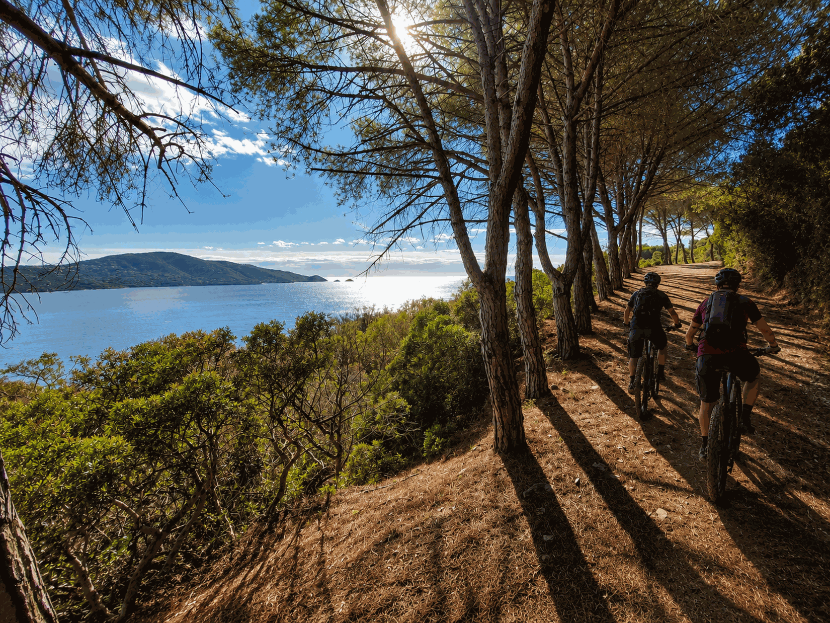 Virtual guided e-bike tour from Portoferraio to Capo Stella