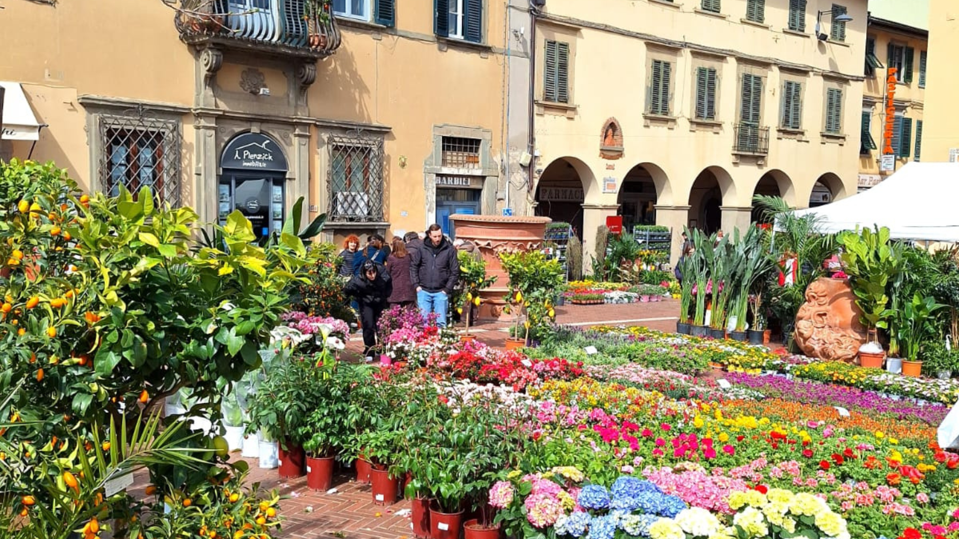 Un momento della manifestazione con le persone che ammirano i fiori