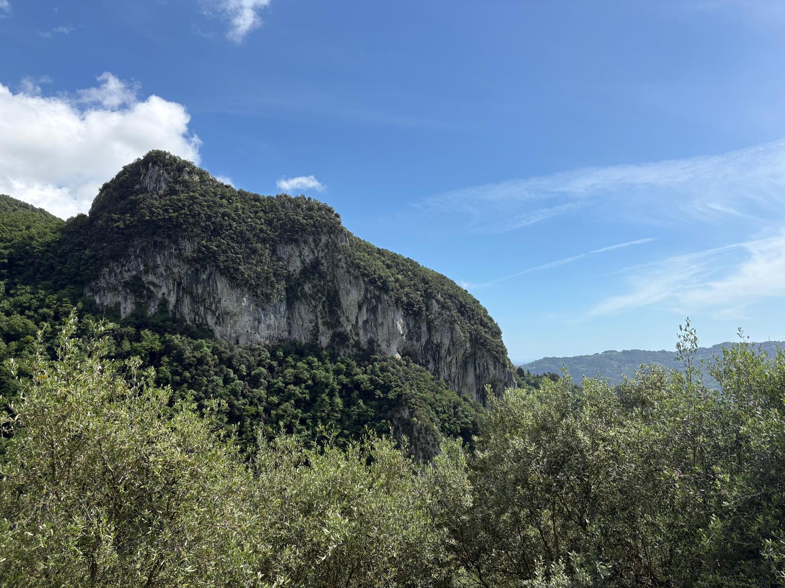 Immagine della natura alle pendici del Matanna in una giornata di sole