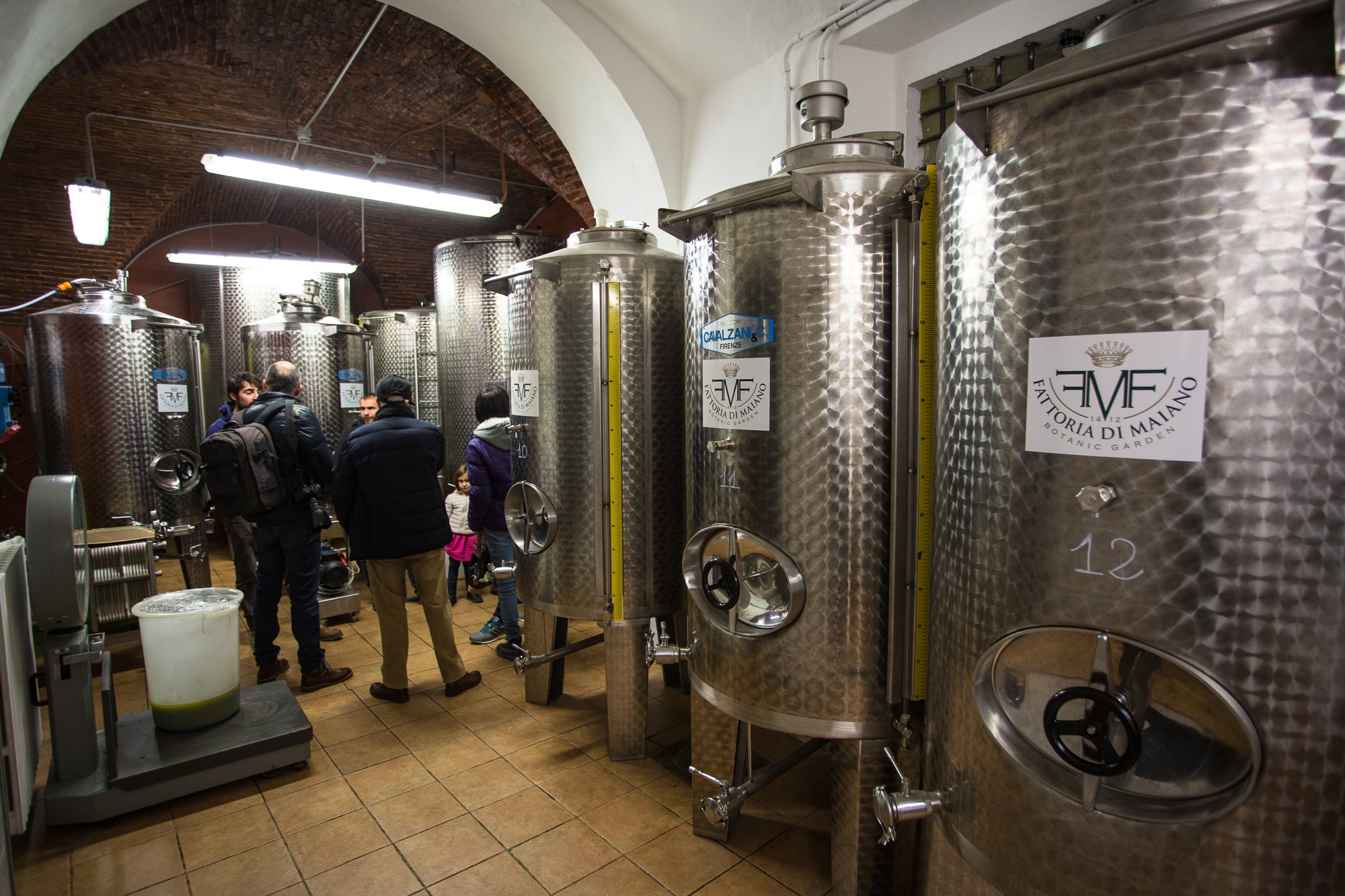 Visita al frantoio della Fattoria di Maiano con esperienza adatta a famiglie 