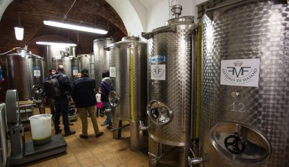 Visit to the oil mill of Fattoria di Maiano with family-friendly experience