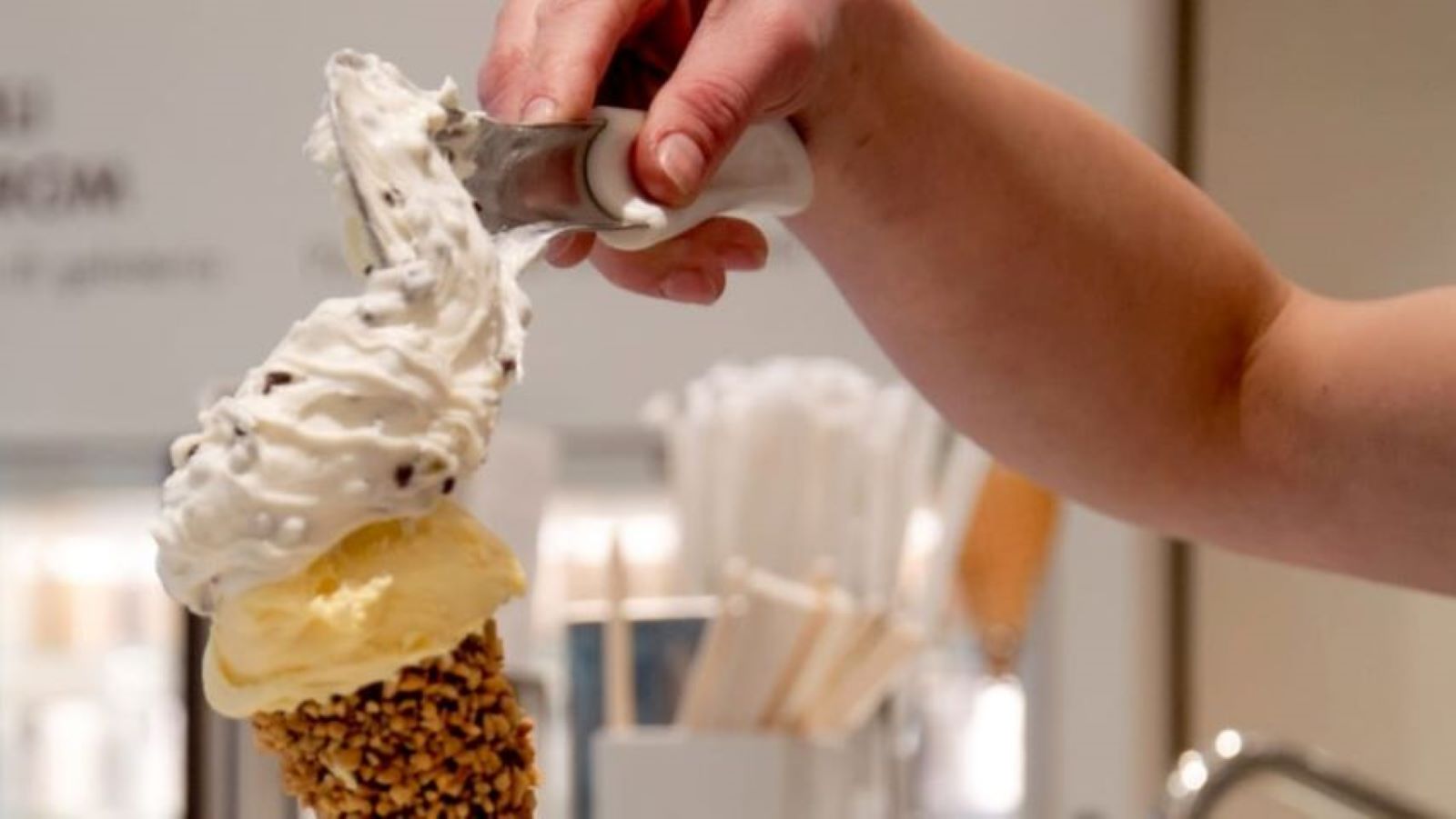 A delicious tasting experience in Vinci