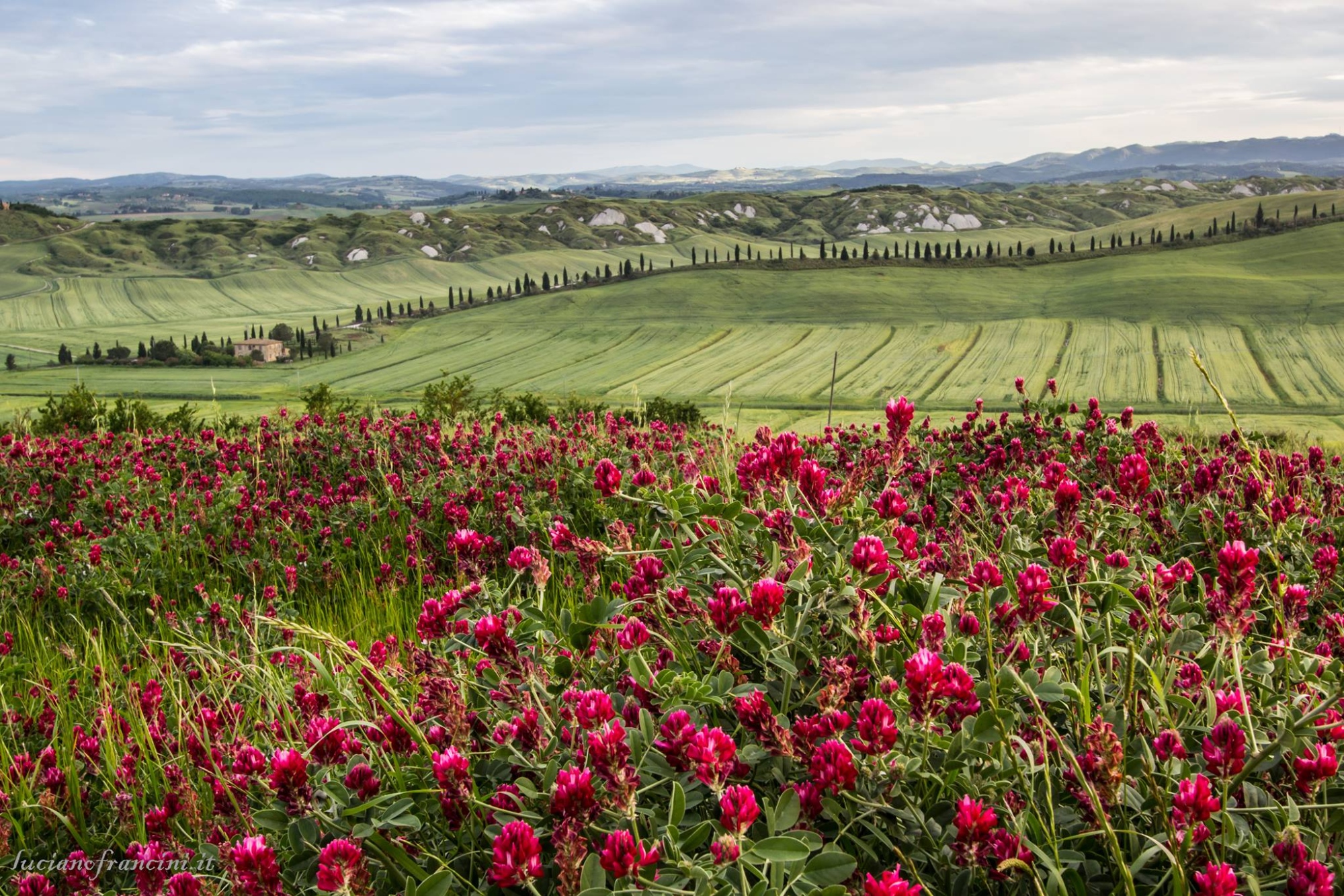 Biancane di Leonina