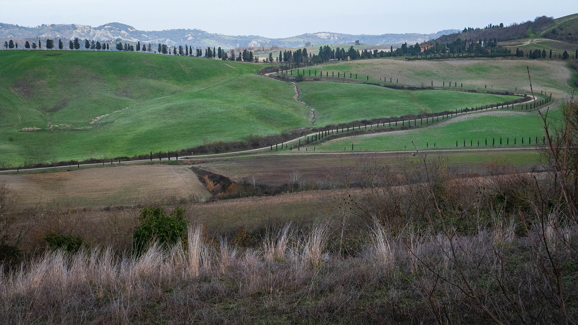 E-bike tour Ghizzano/Castelfalfi