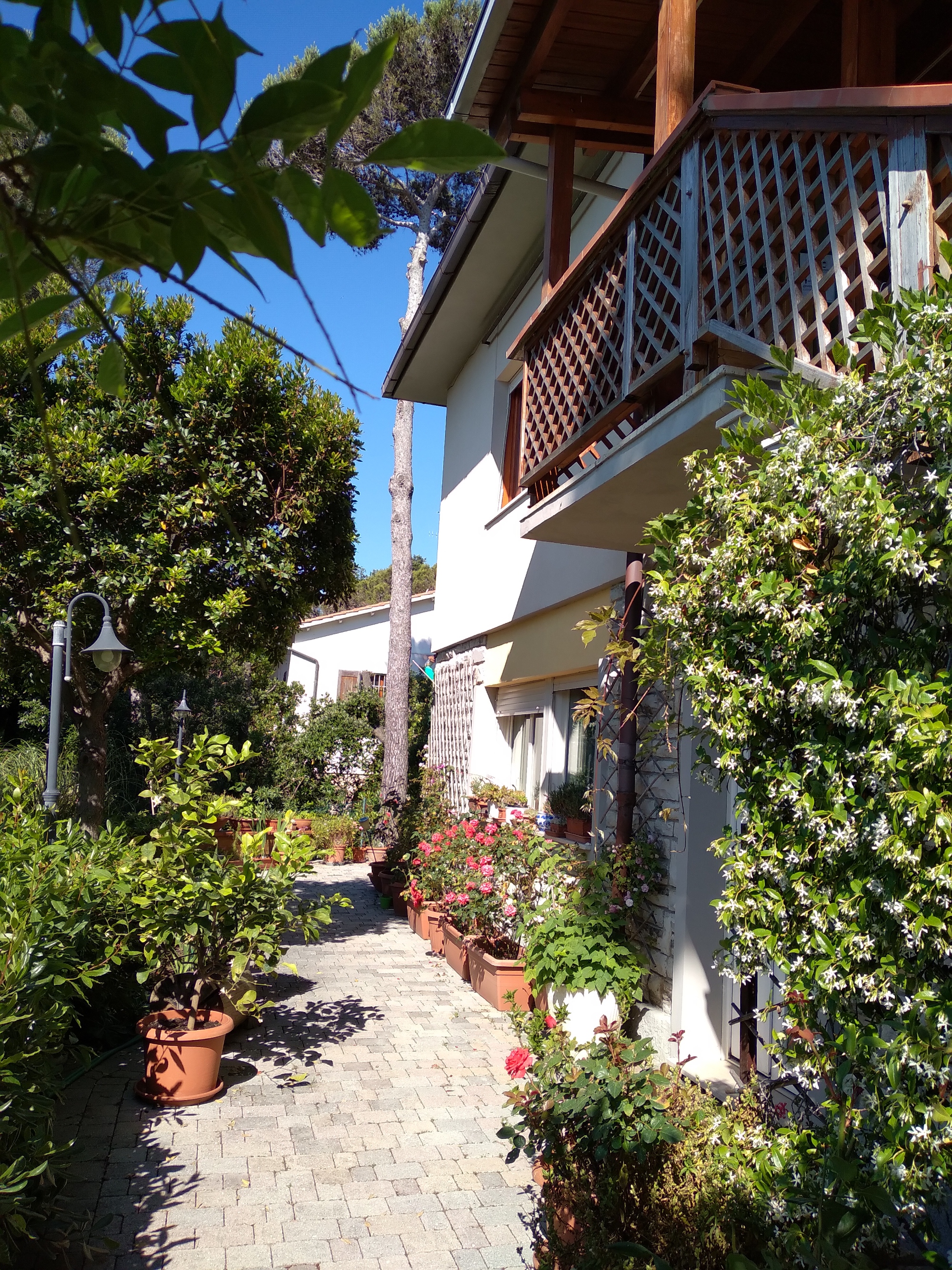 Casa di Ulisse B&B breakfast nearby Livorno