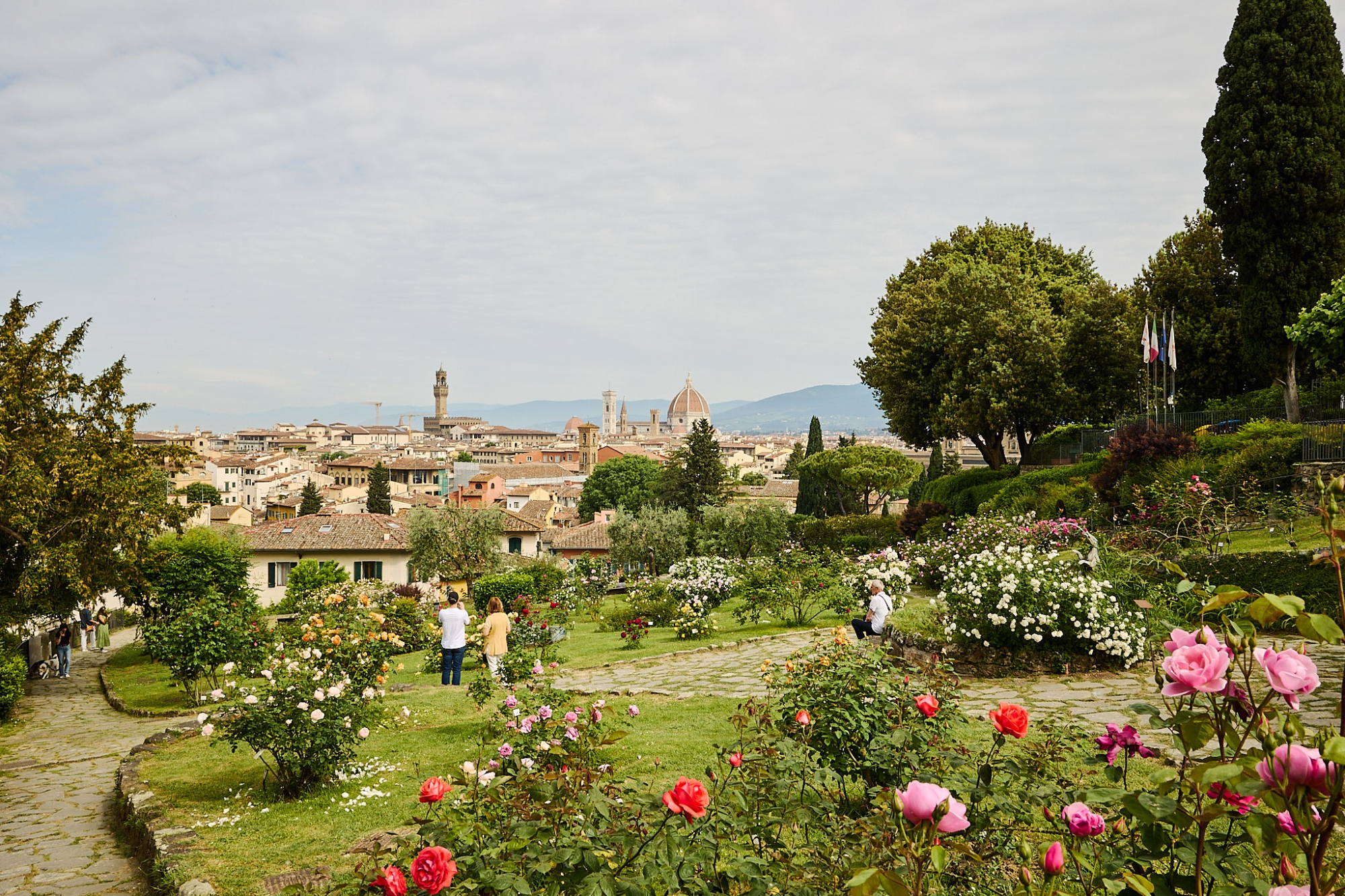 Der Rosengarten von Florenz in voller Blüte, mit seinen Wegen und einem Panoramablick auf den Dom und den Palazzo Vecchio.