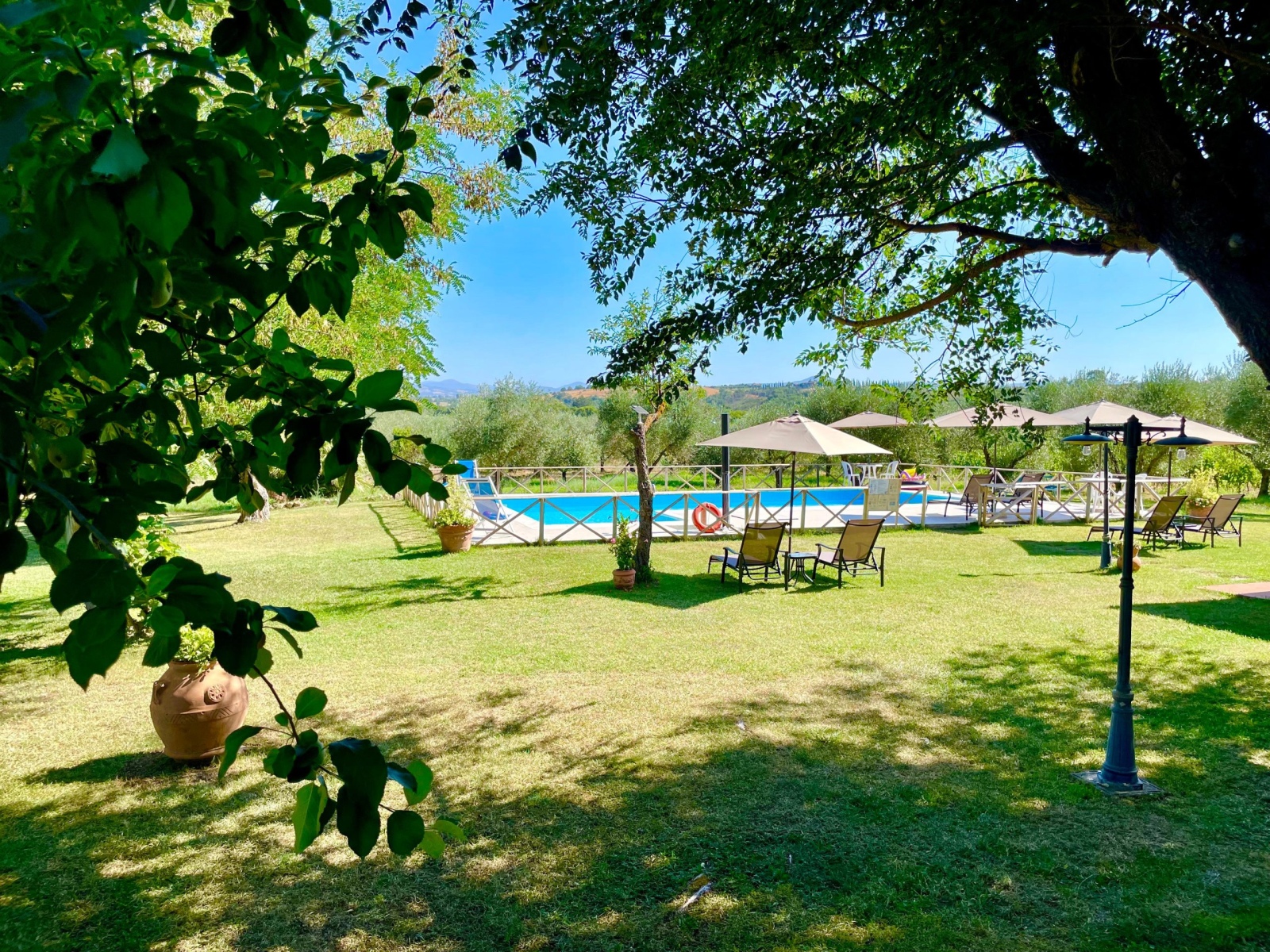 a green garden with a swimming pool