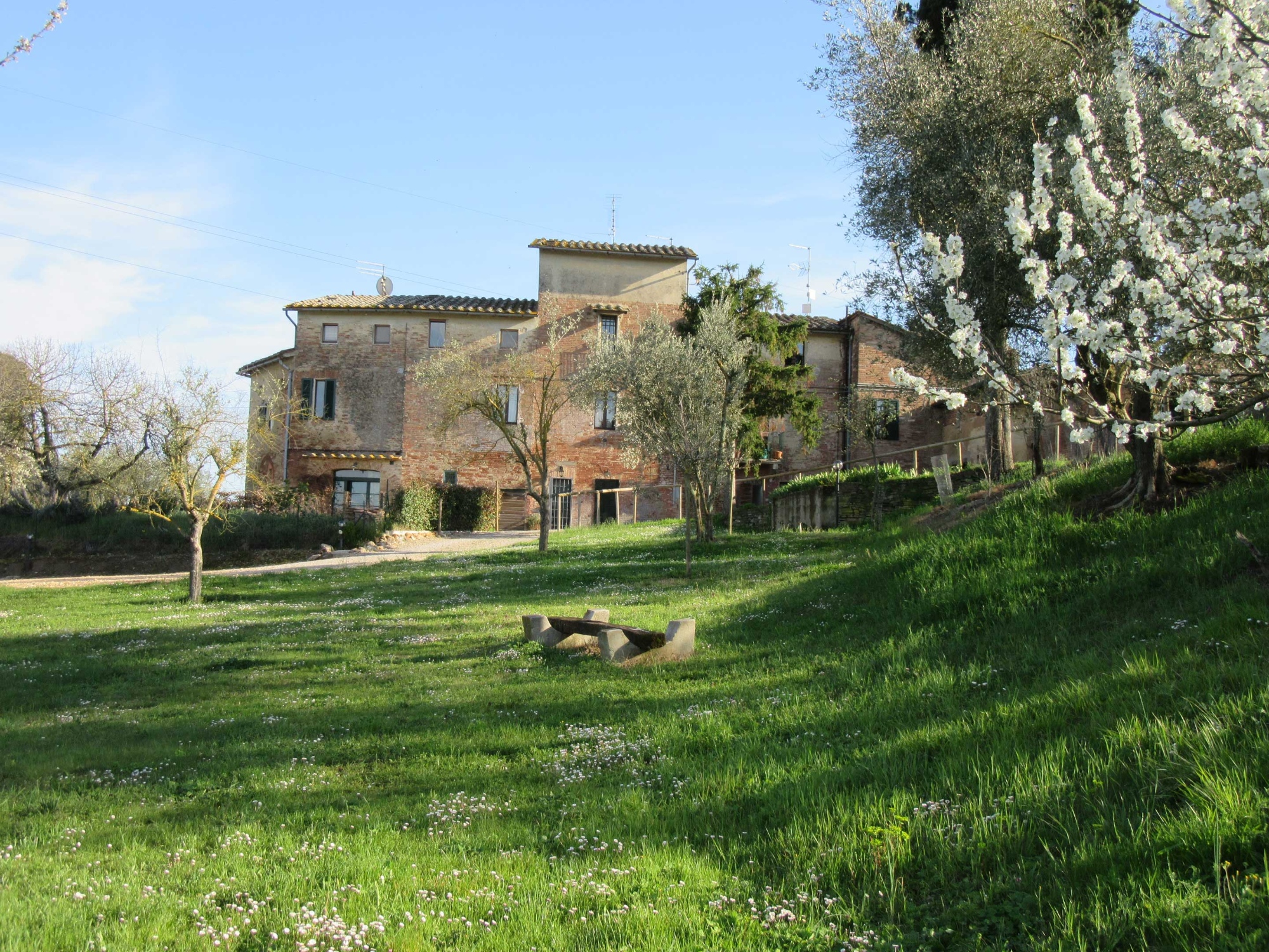 Garden in front of the farmhouse