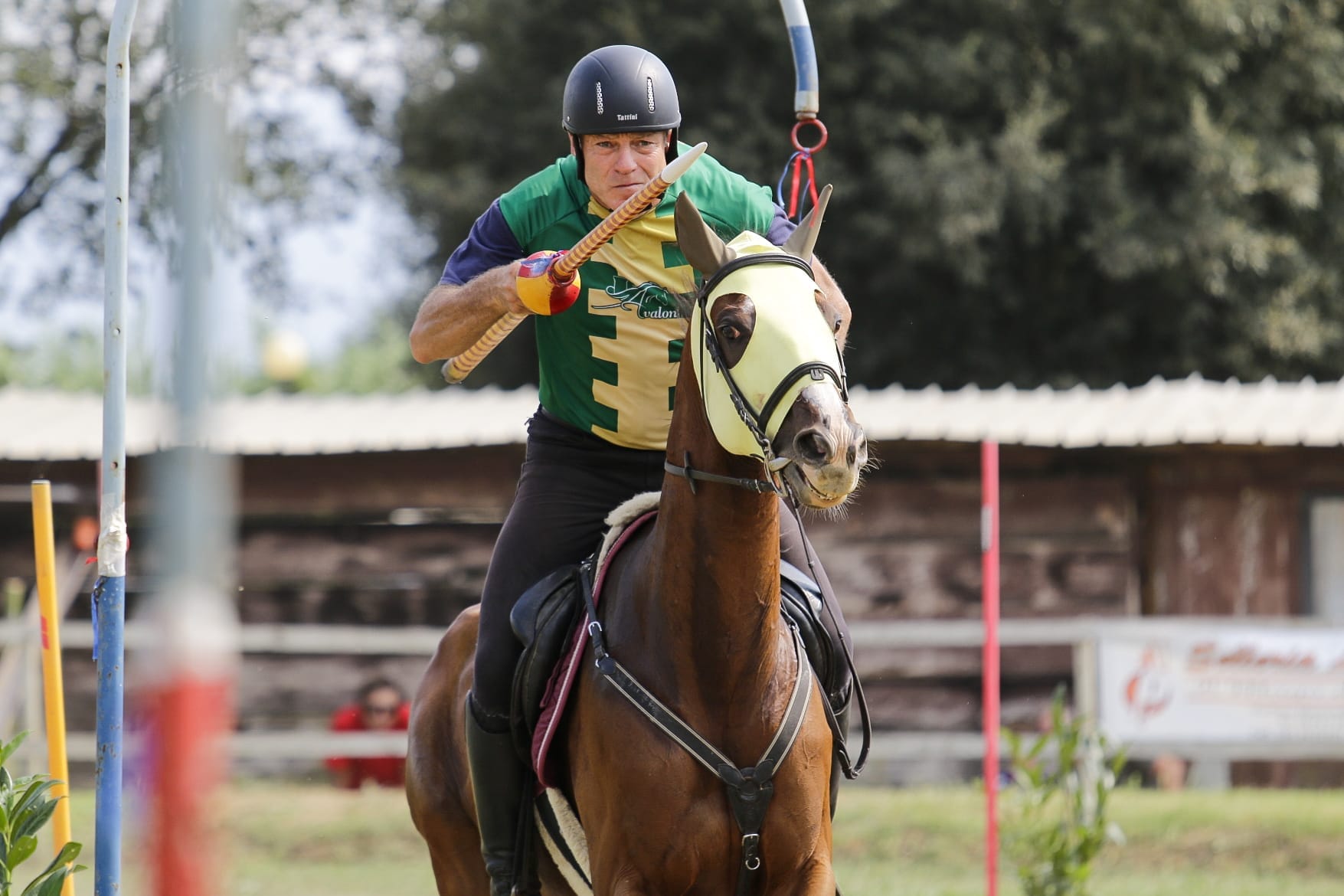 Giostra dei Rioni di Olmo