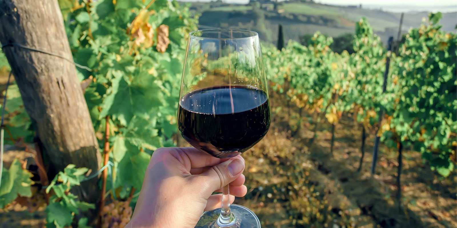 glass-of-wine.jpg glass-of-wine.jpg