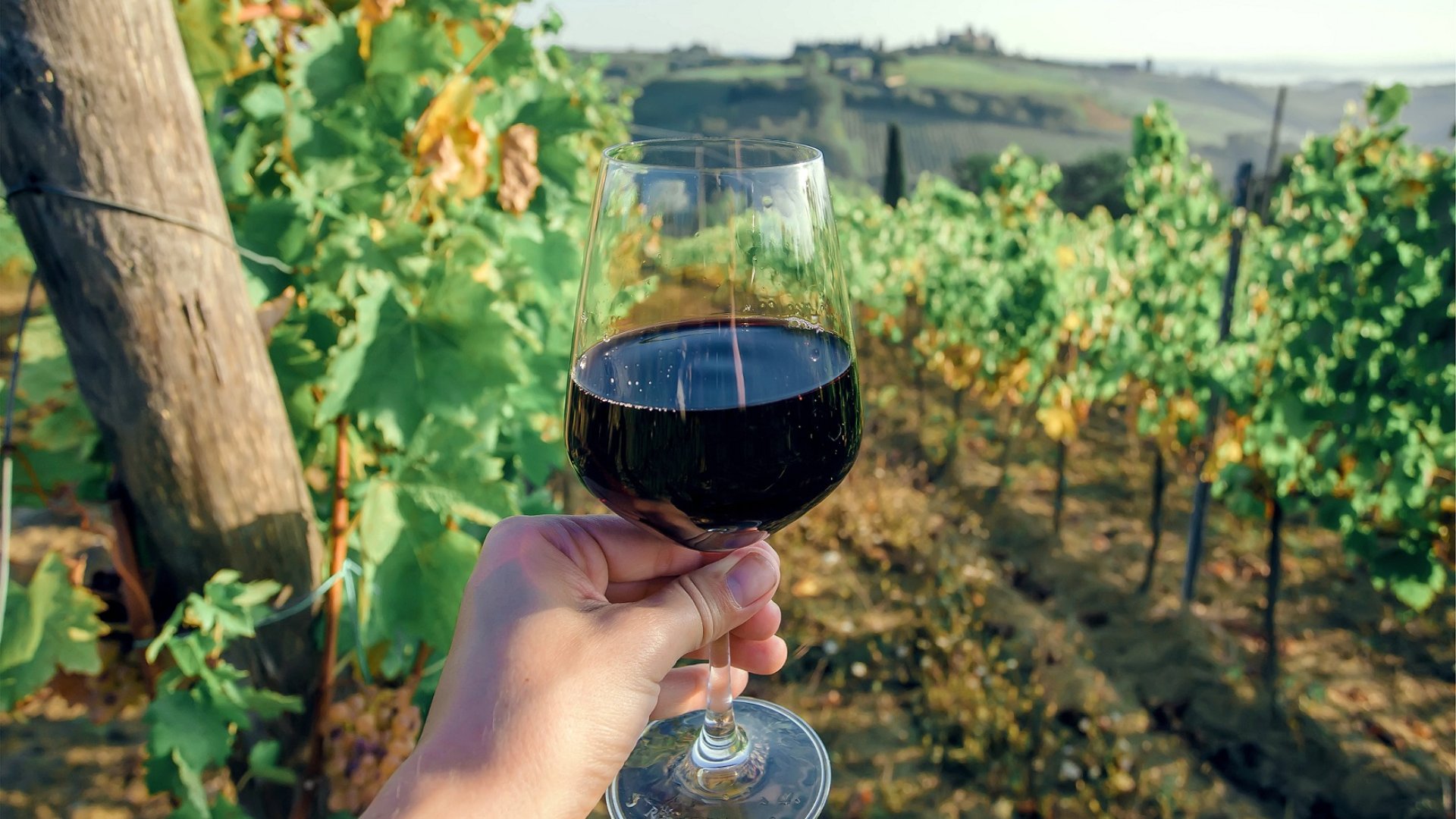 Tuscan dinner among the vineyards