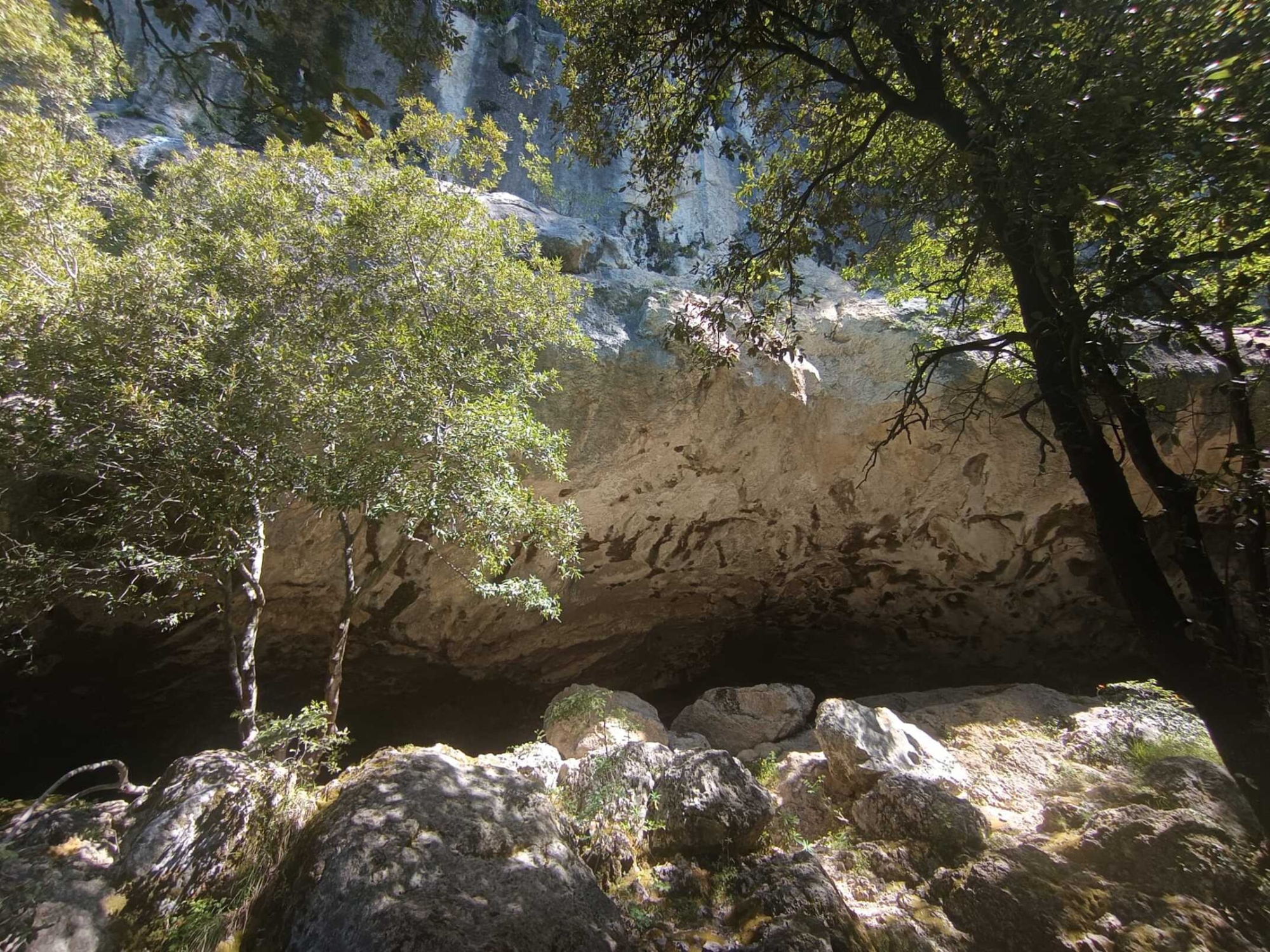 Immagine di Grotta all