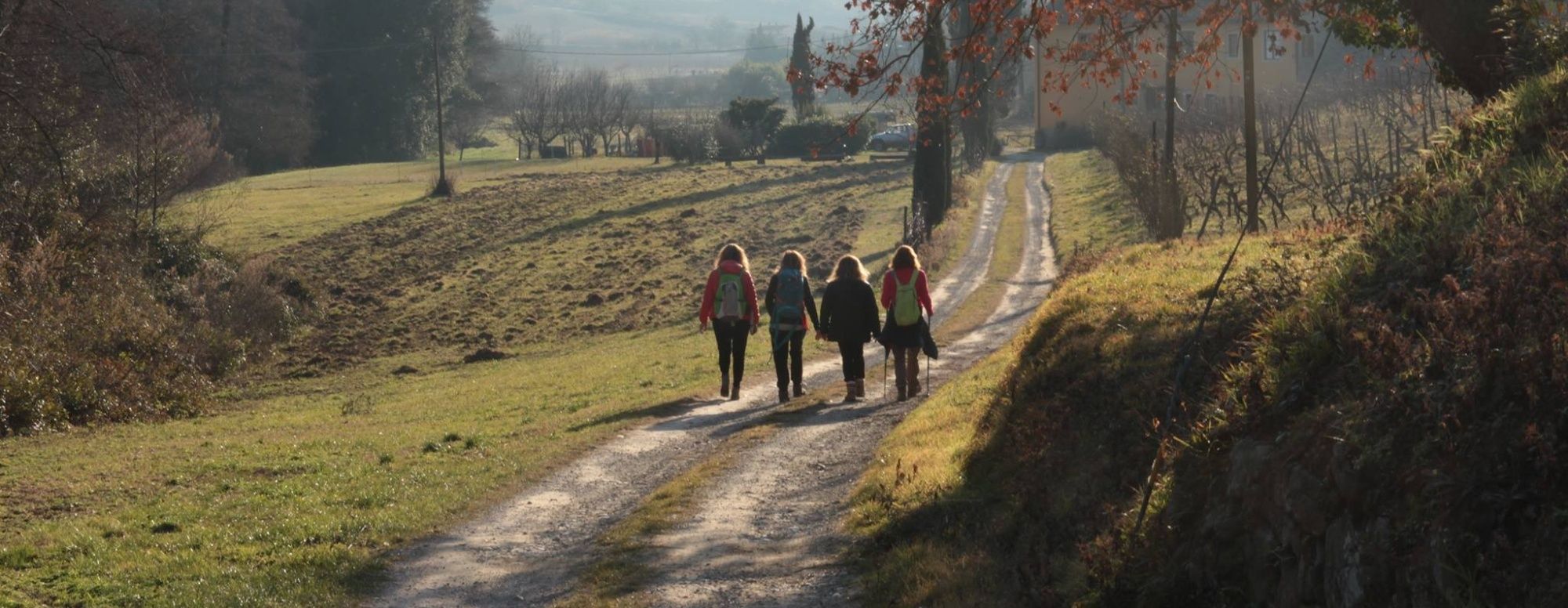 Flavours of Tuscany: an unforgettable tasting tour