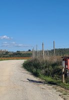 Tour individuale di tre giorni e due notti pedalando sulla via dei pellegrini, nel cuore della Toscana