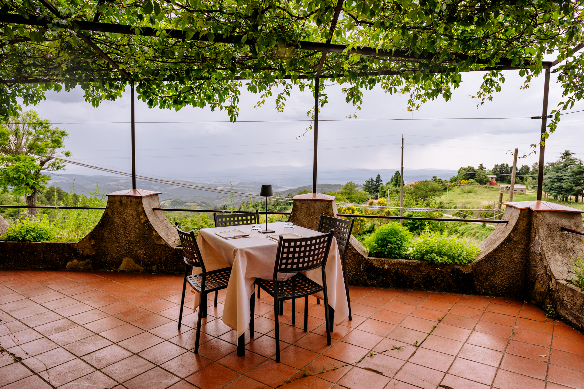 Terrace - la scottiglia
