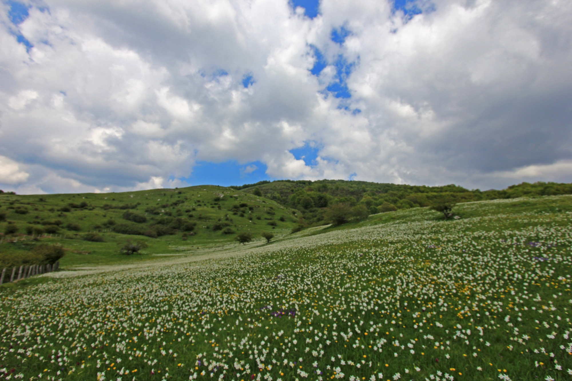 Prati di Logarghena