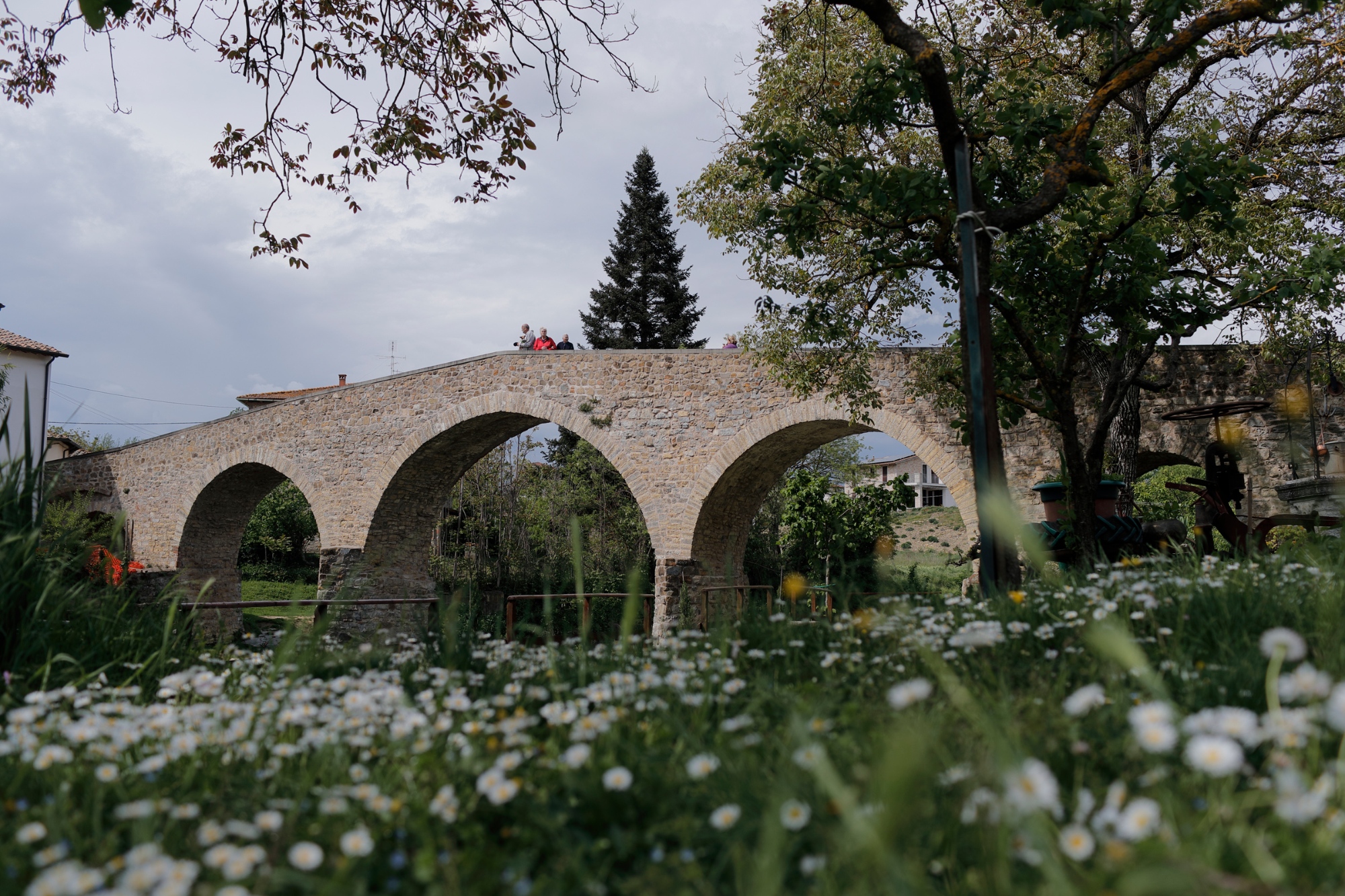 Ponte di Pogi nel Valdarno con prato fiorito