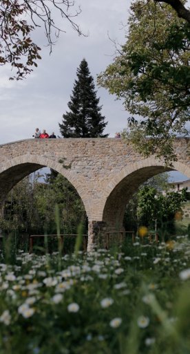 Ponte di Pogi nel Valdarno con prato fiorito