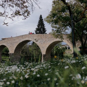 Ponte di Pogi nel Valdarno con prato fiorito