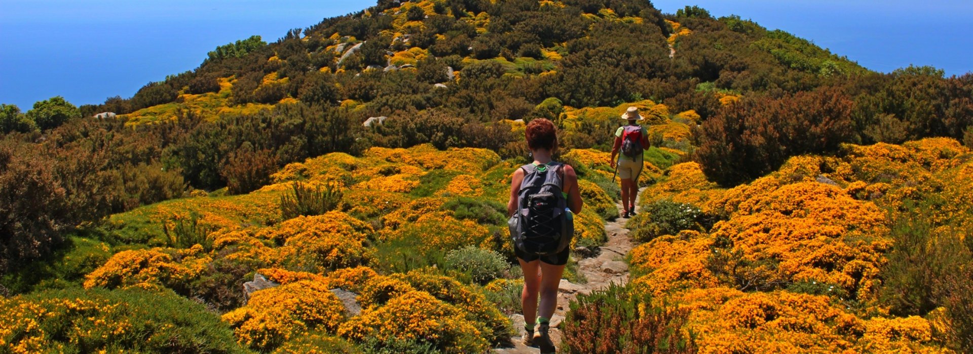 Il Cammino Elbano, Trekking