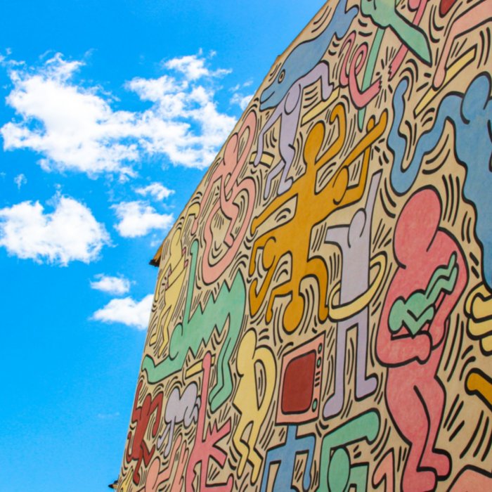Visita del murale Tuttomondo, affascinante esempio di arte a cielo aperto nel centro di Pisa
