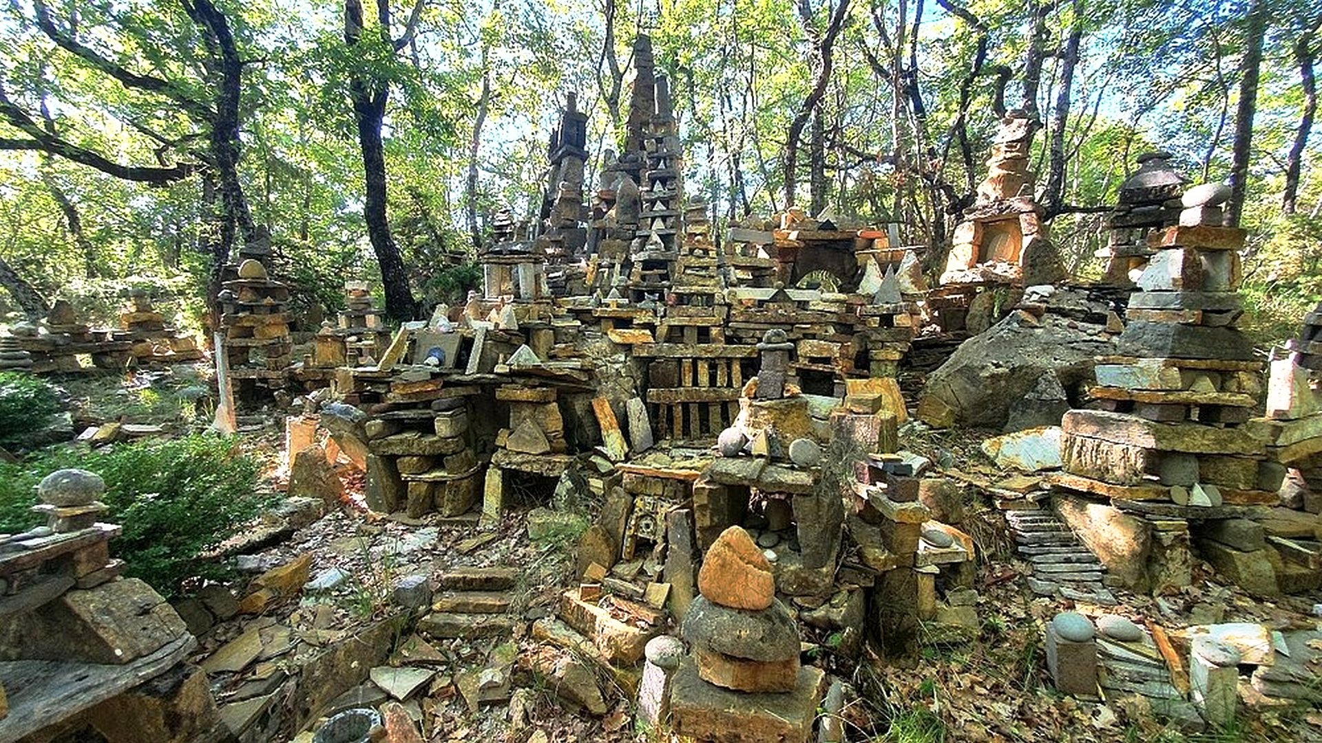Trekking nella Selva di Sogno