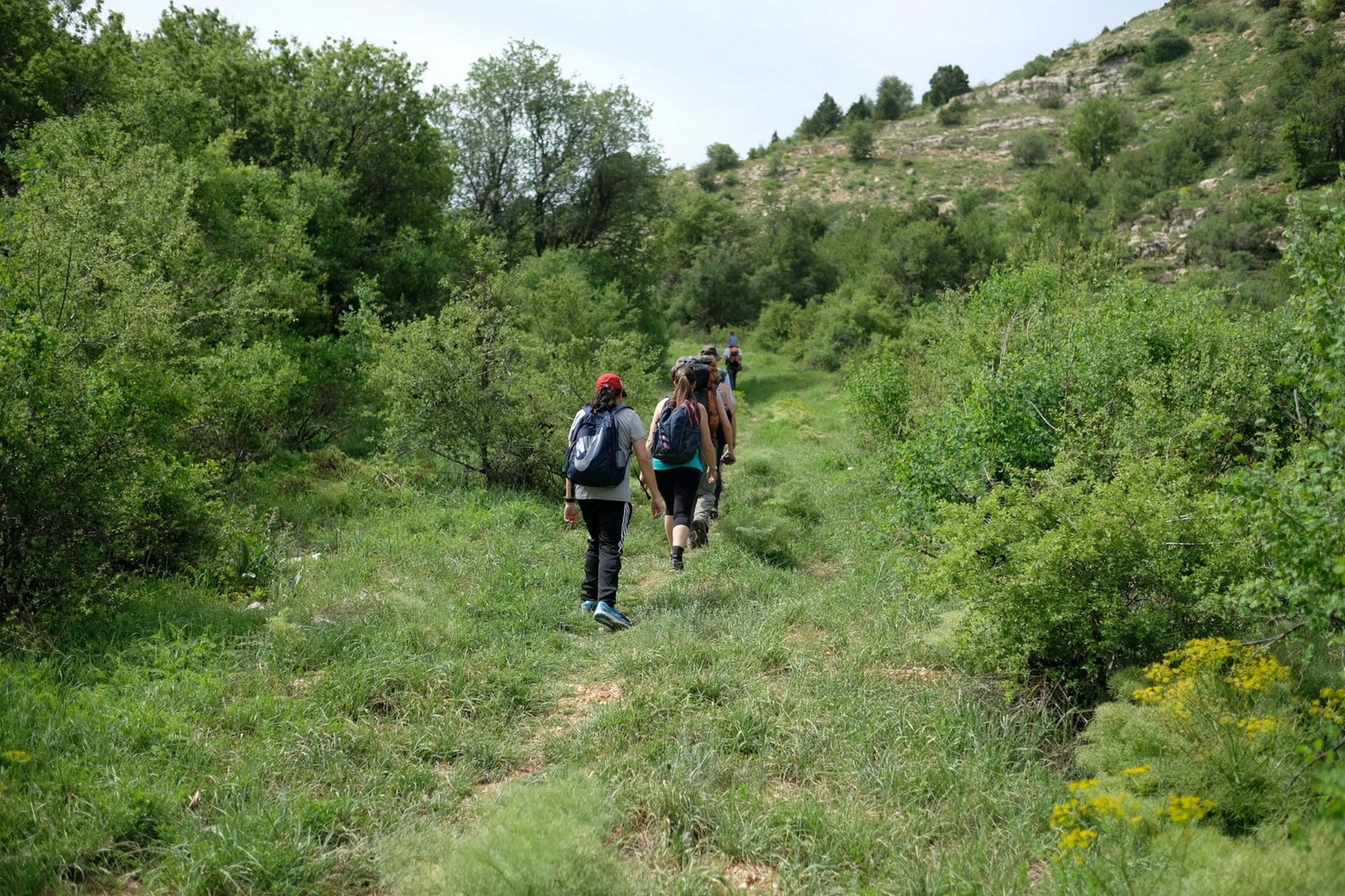 Tour of the ancient village of Scarperia during the Flower Festival