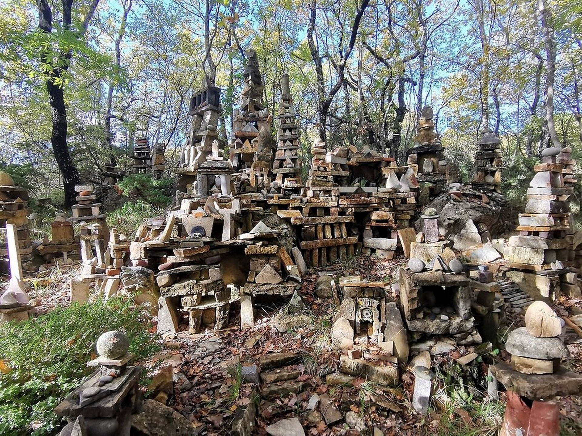 Trekking nella Selva di Sogno