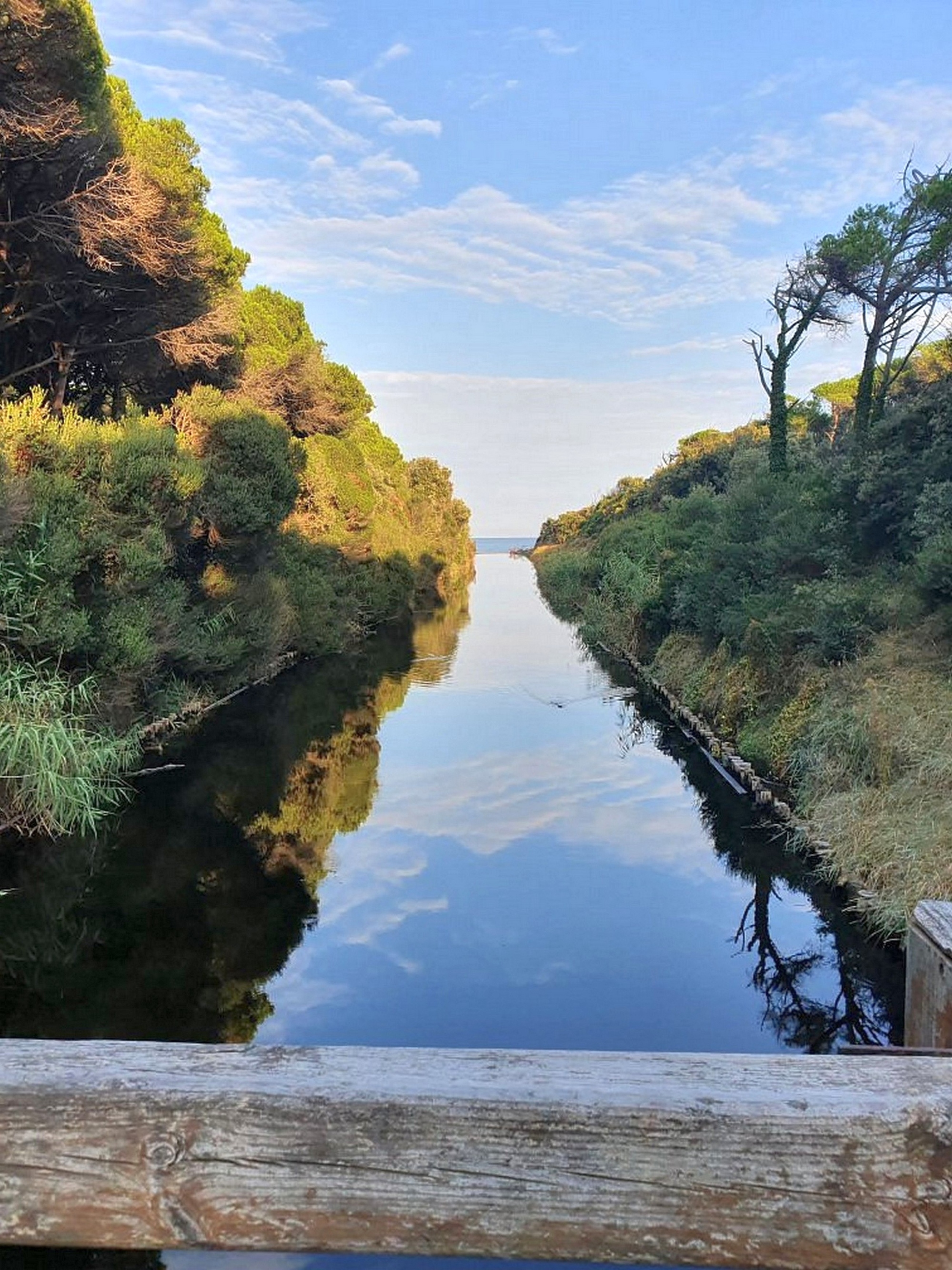 Hike in Tuscany to discover the Tomboli biogenetic nature reserve