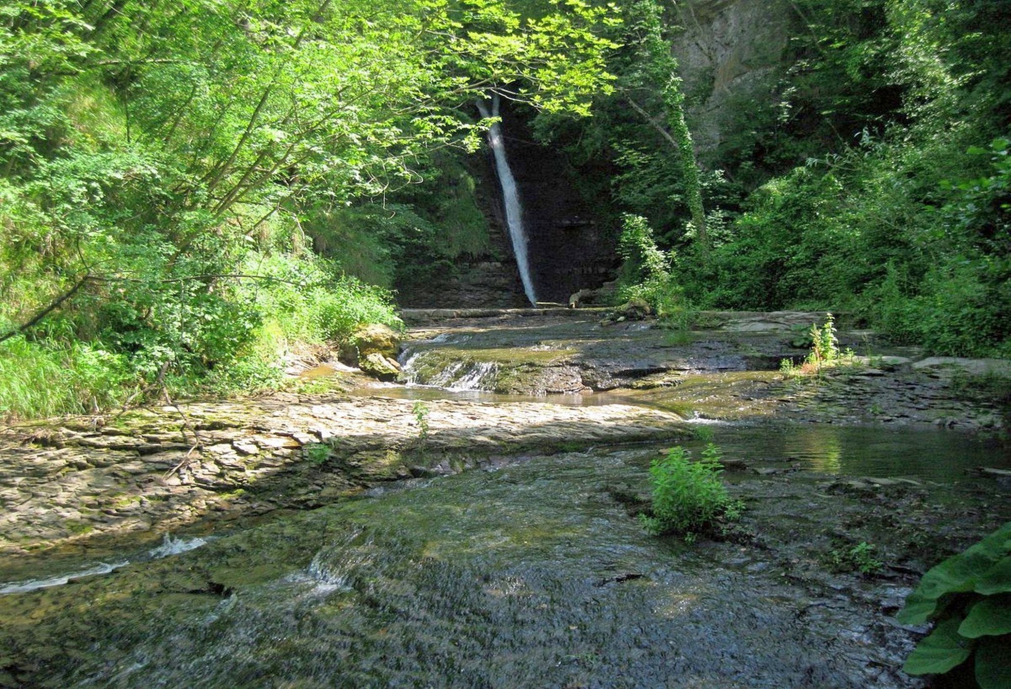 13 km tour to the San Godenzo Falls, in the Casentinesi and Campigna Forests National Park
