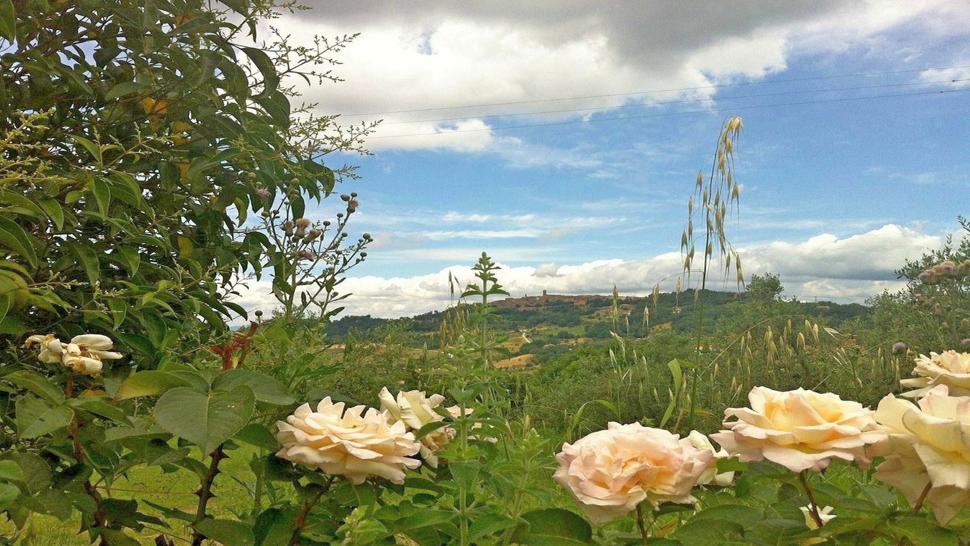 Un trekking con aperitivo al tramonto nel territorio di Montespertoli