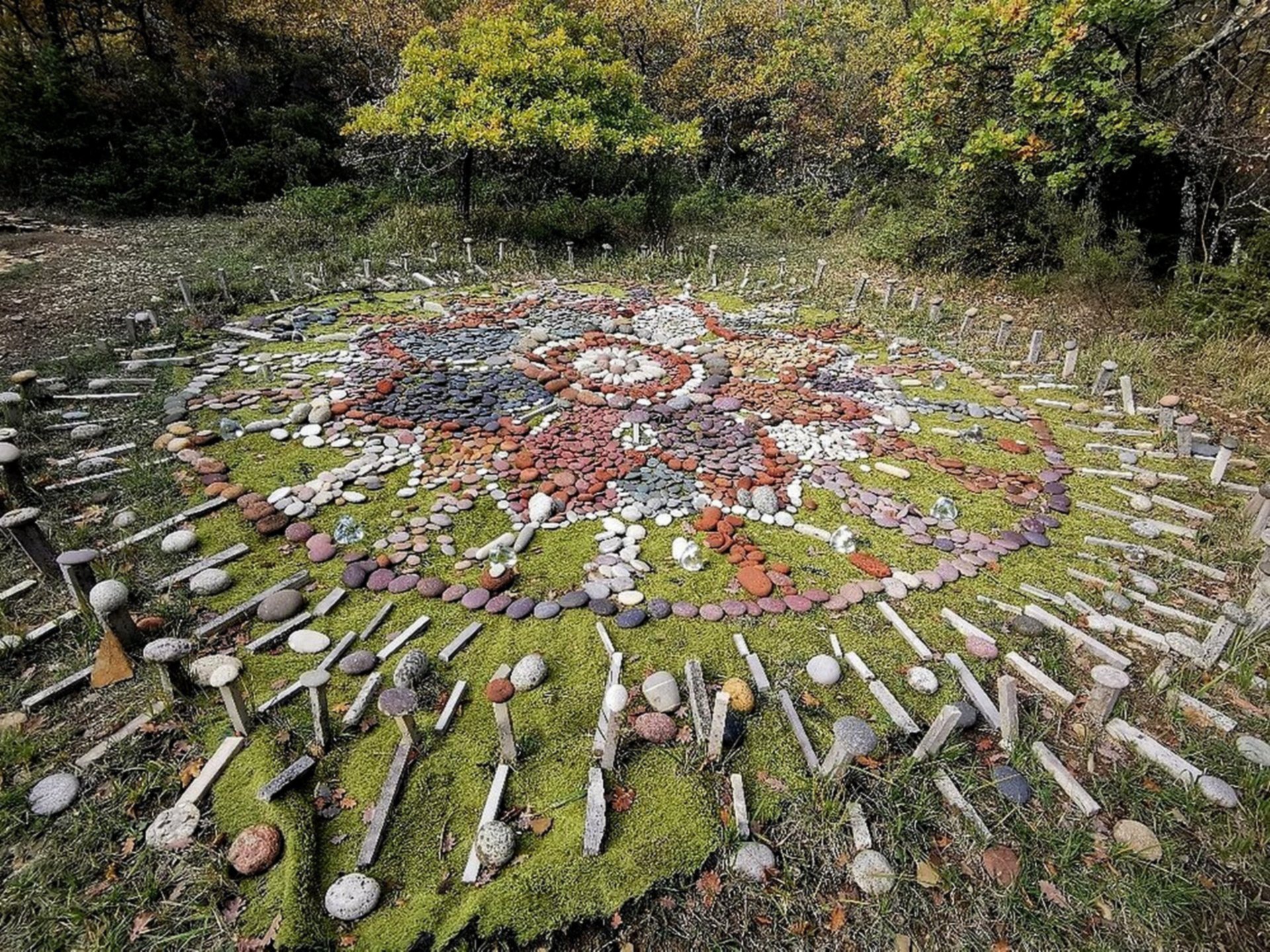 Trekking nella Selva di Sogno