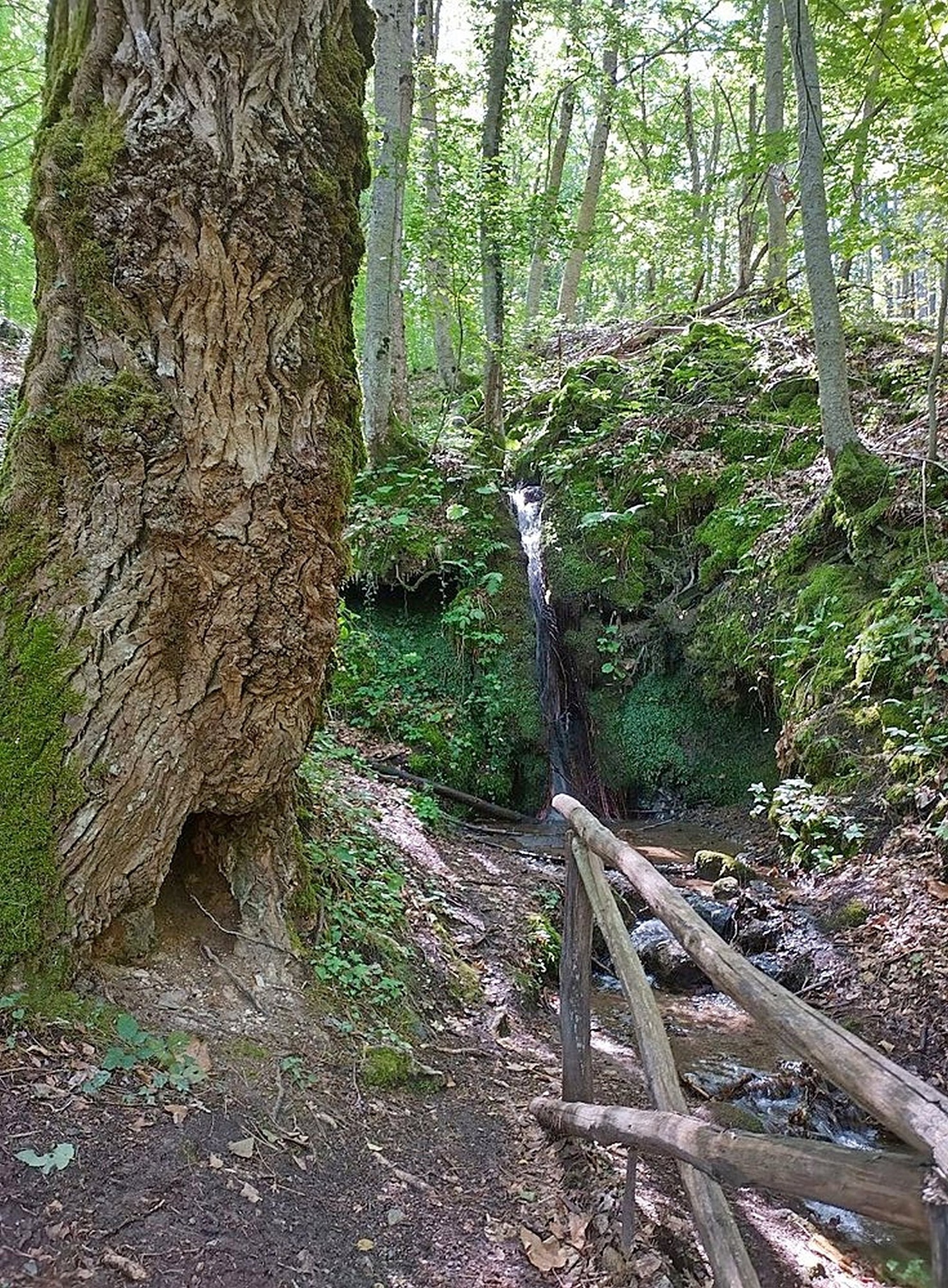 Il canto del fiume: cammino alle gole dell’Orcia