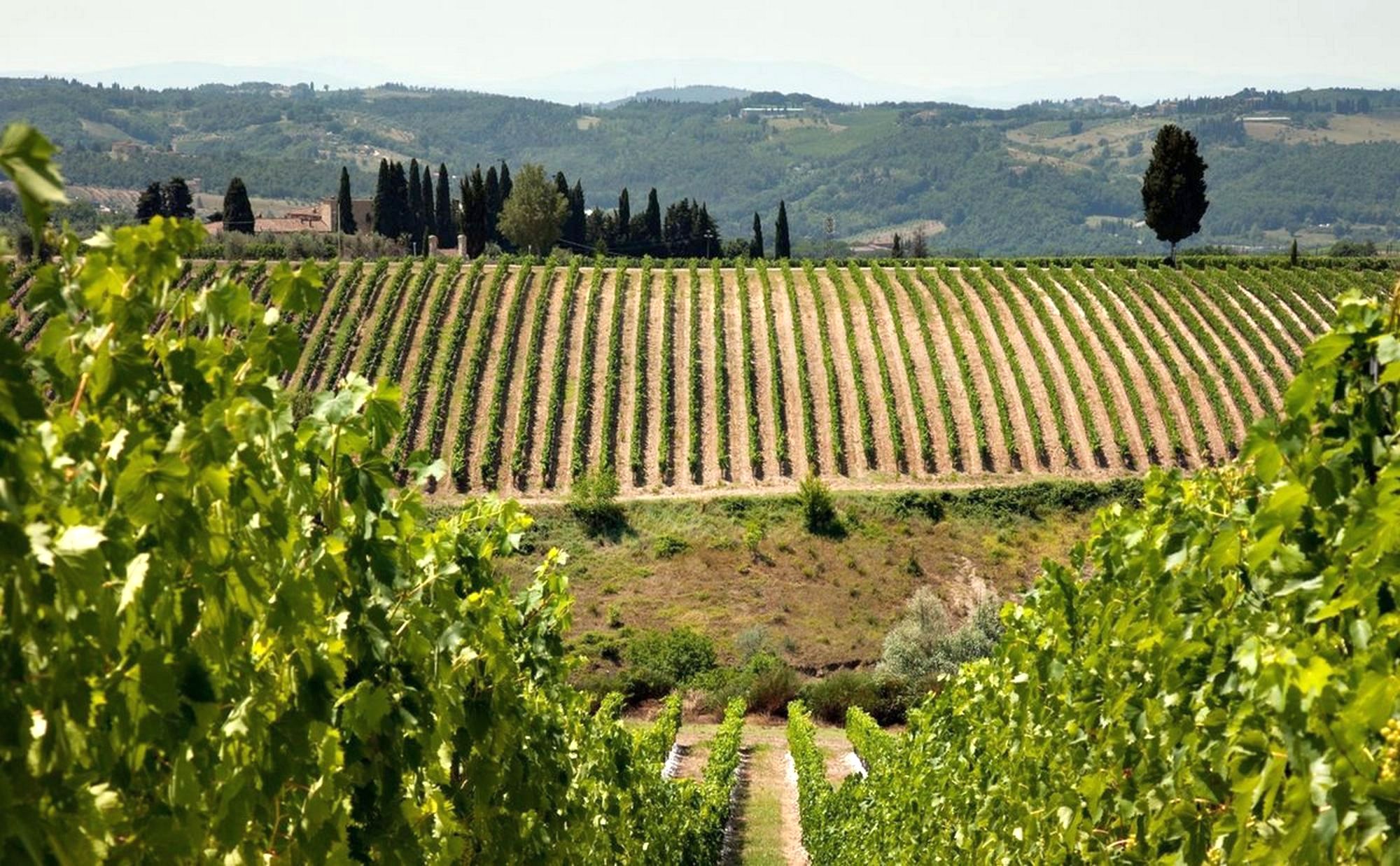 Tour nel Chianti Classico