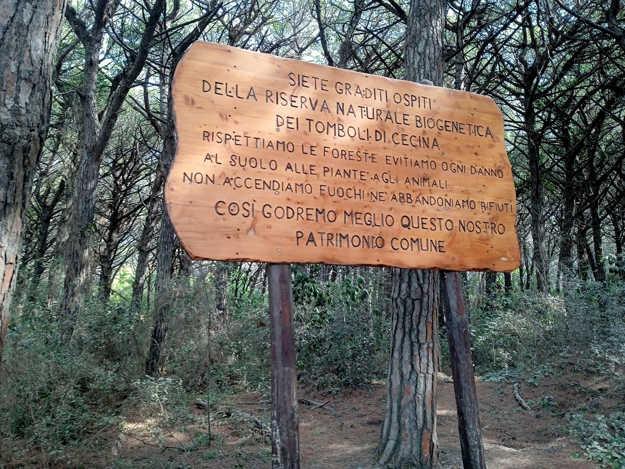Hike in Tuscany to discover the Tomboli biogenetic nature reserve