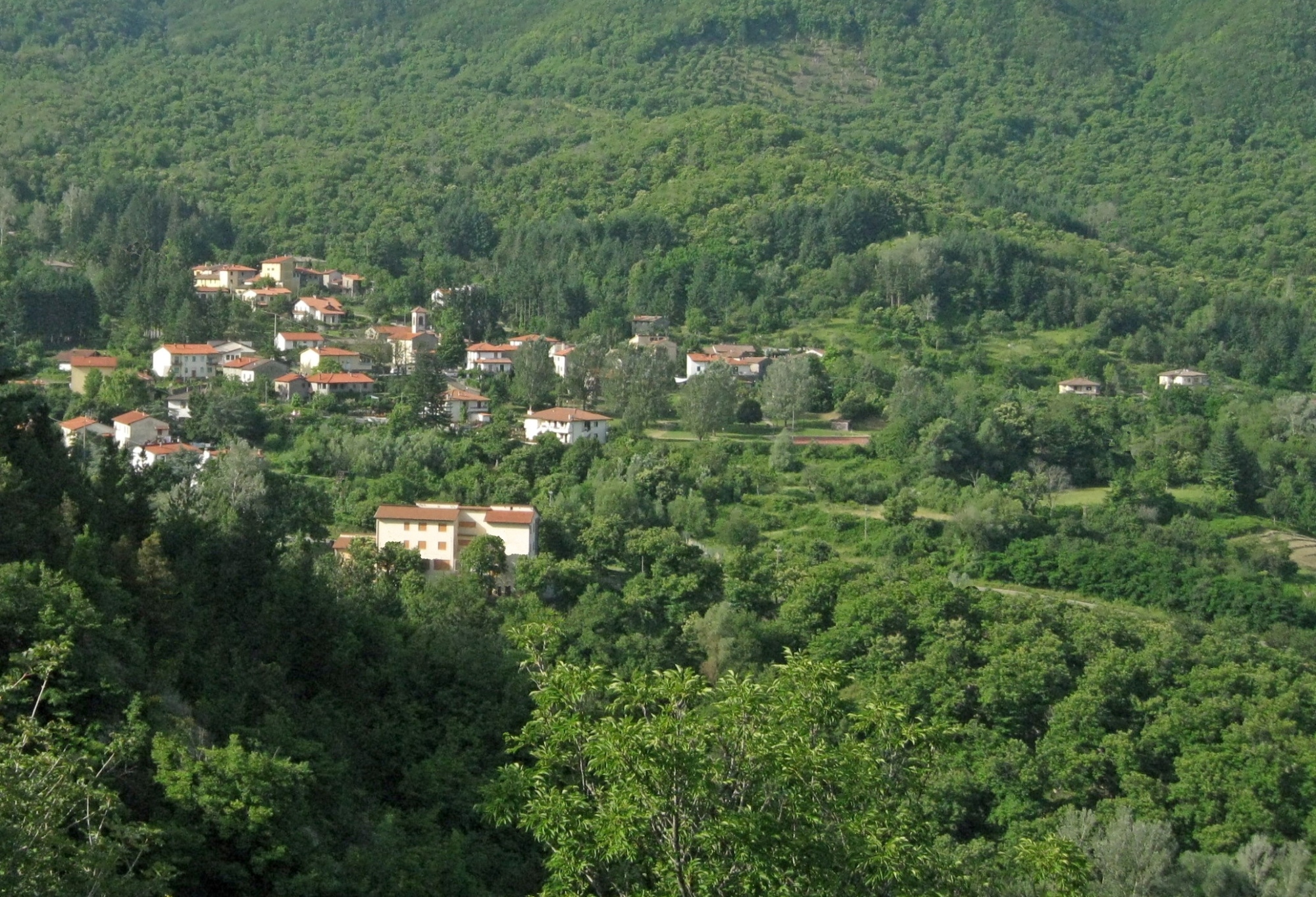 Tour di 13 km alle Cascate di San Godenzo, nel Parco Nazionale delle Foreste Casentinesi e Campigna