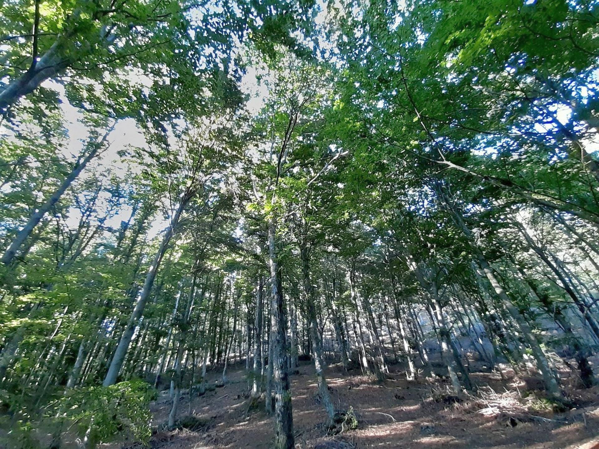 Escursione nella Riserva Naturale Acquerino - Cantagallo in Val di Bisenzio