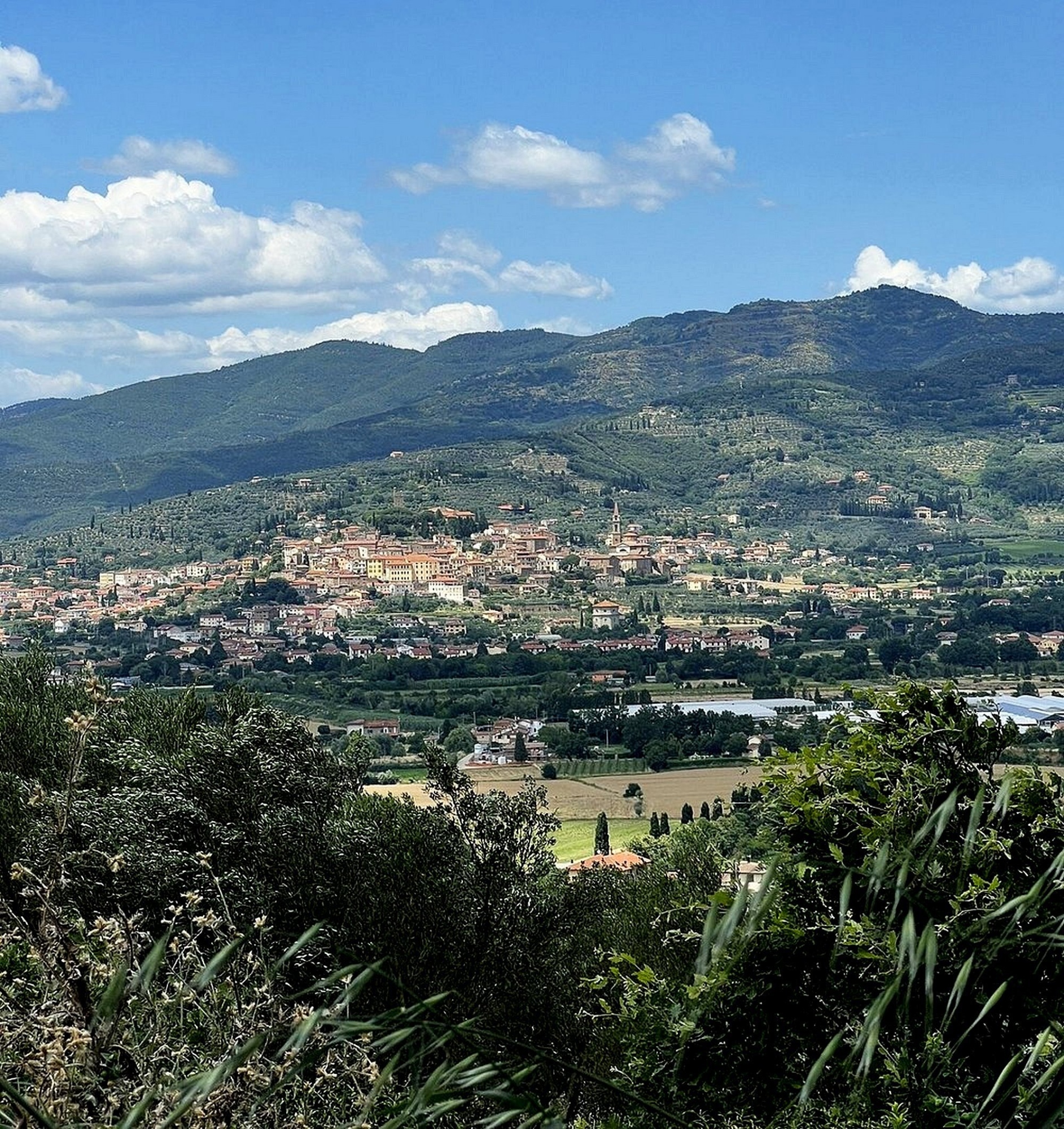 Il Castello di Montecchio Vesponi