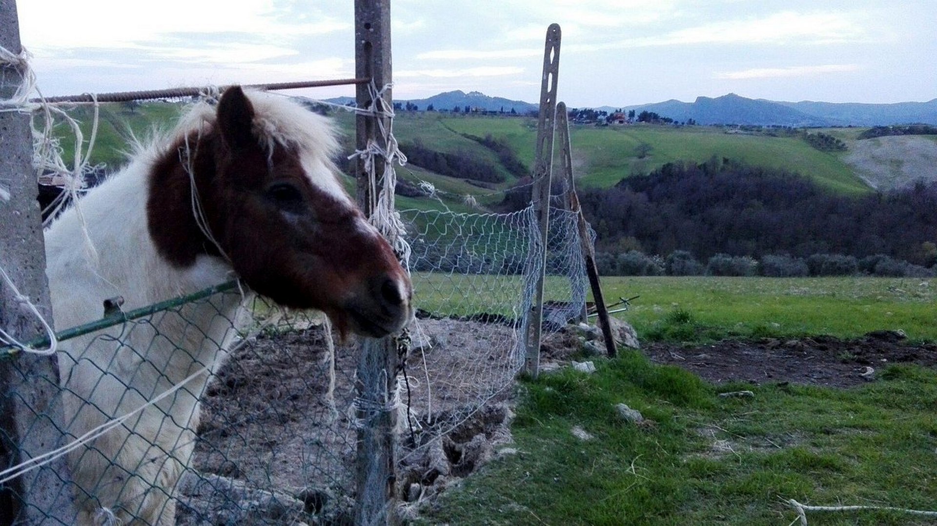 Panorami di Pomarance 