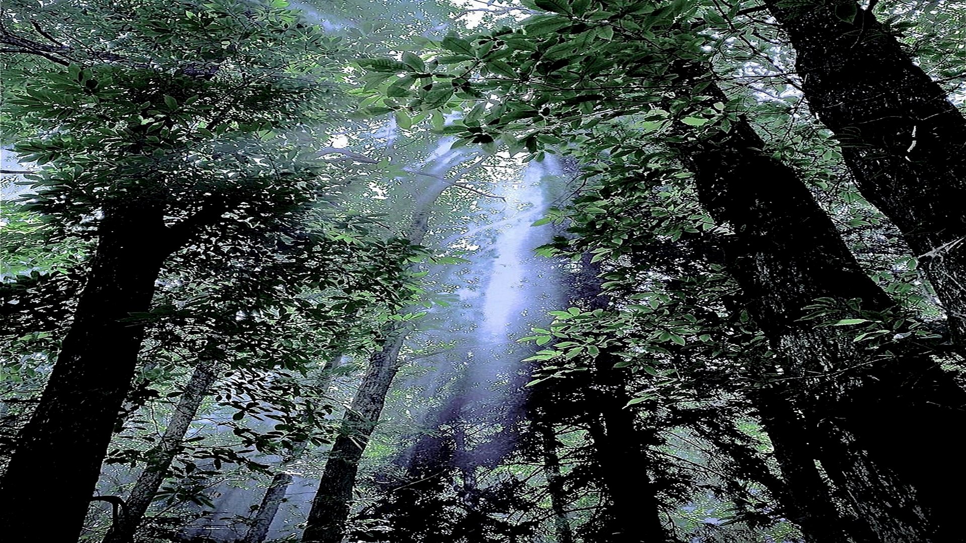 Il canto del fiume: cammino alle gole dell’Orcia
