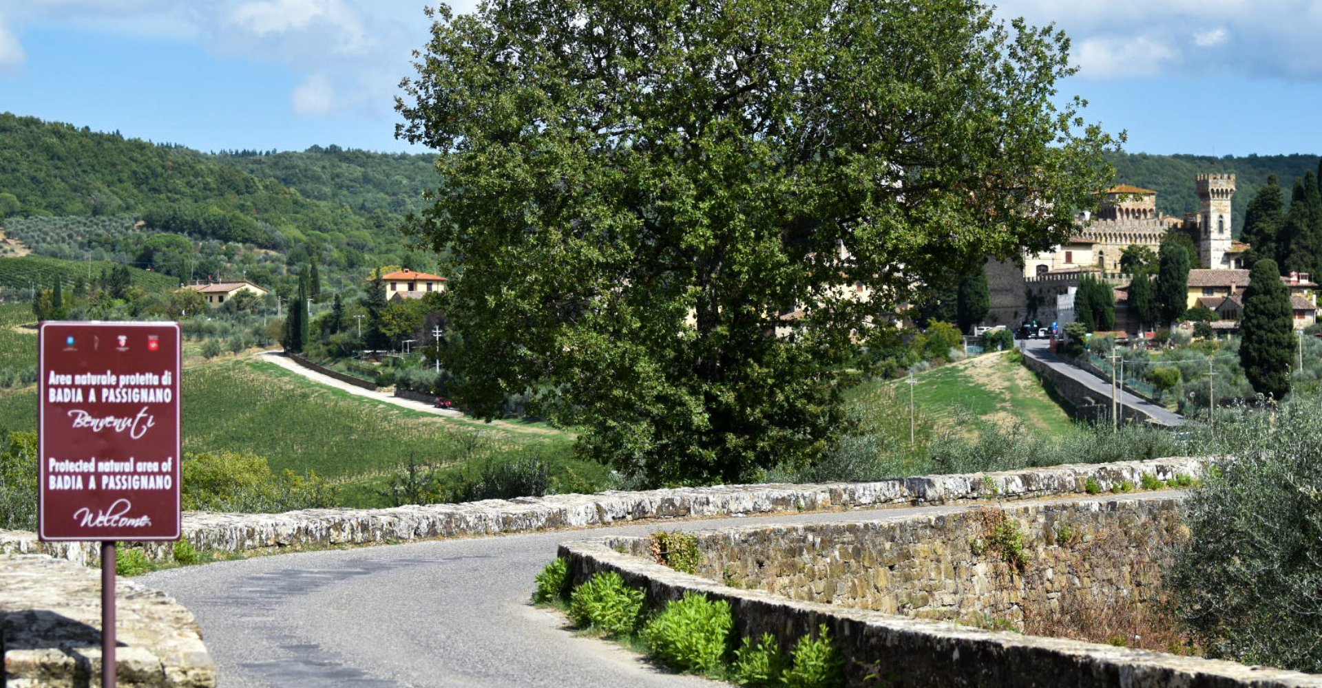 Vista sull'Abbazia di Passignano Vista sull'Abbazia di Passignano